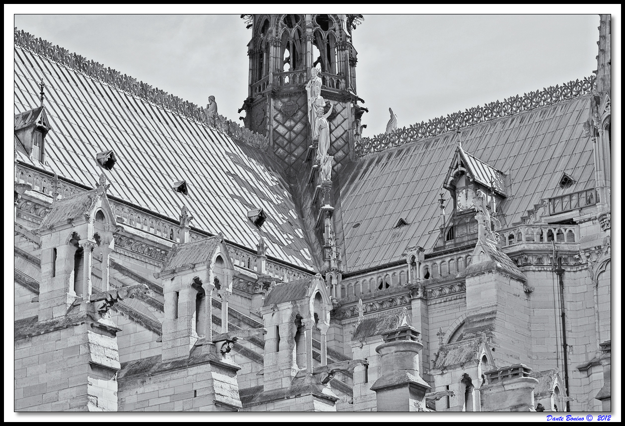 Sul tetto di Notre Dame