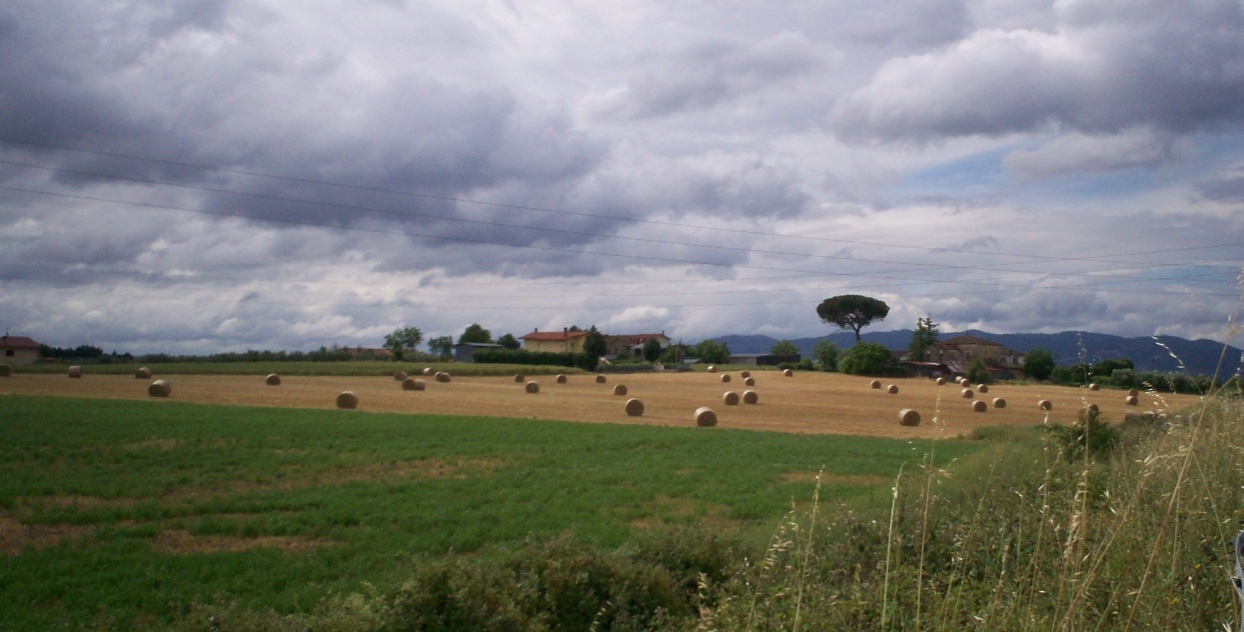 Piana del beneventano ( tra Pietrelcina e S. Marco dei