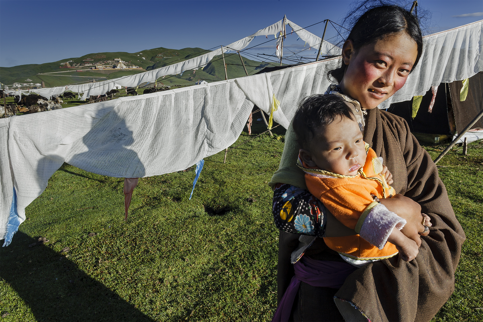 Drokpa camp at Gogentang in front of Donka Gompa, Serta