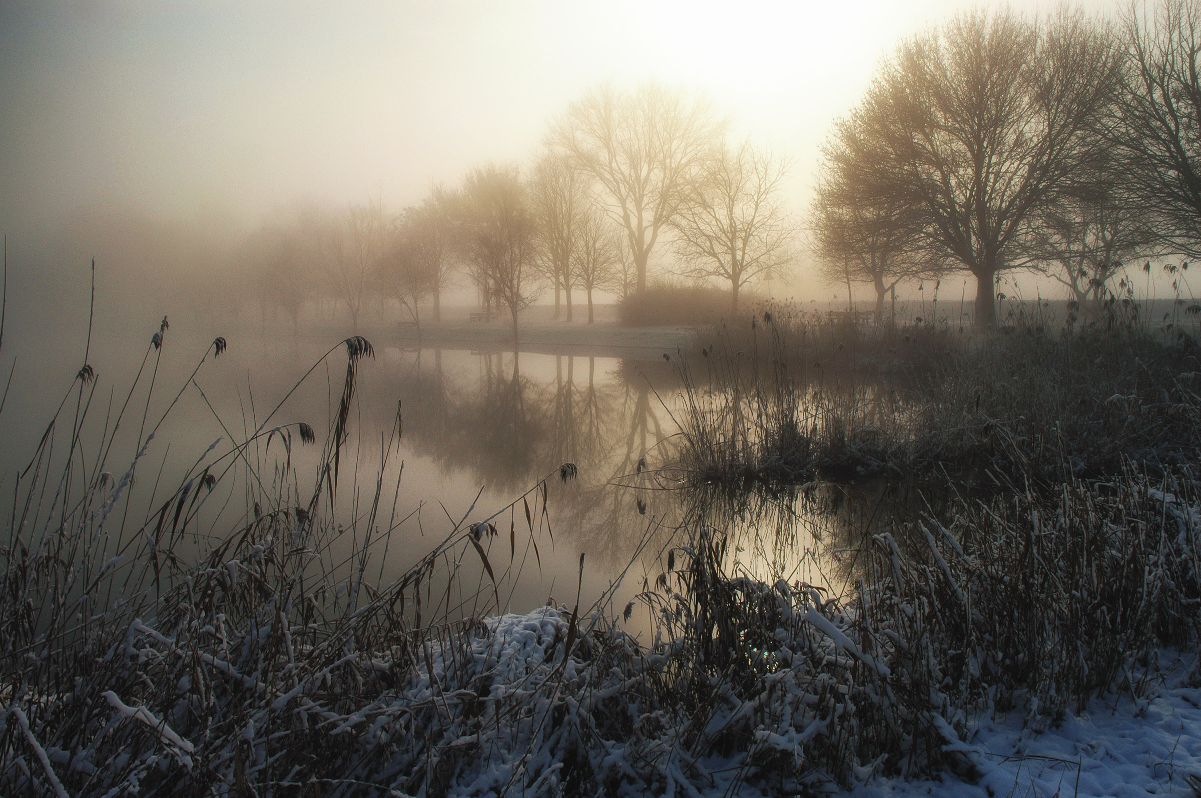 Sensations Padane - Fog and snow