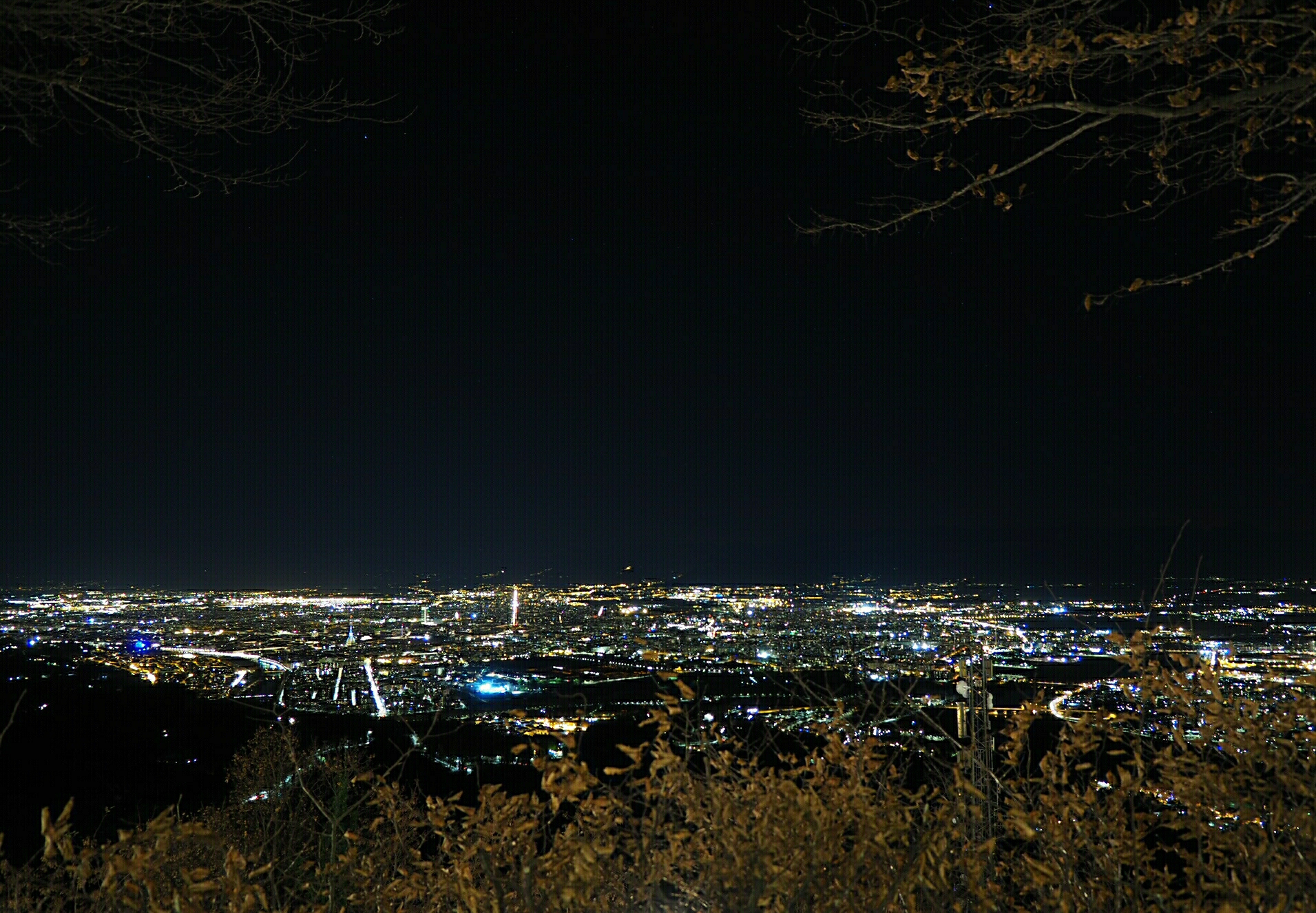 Untitled Photo