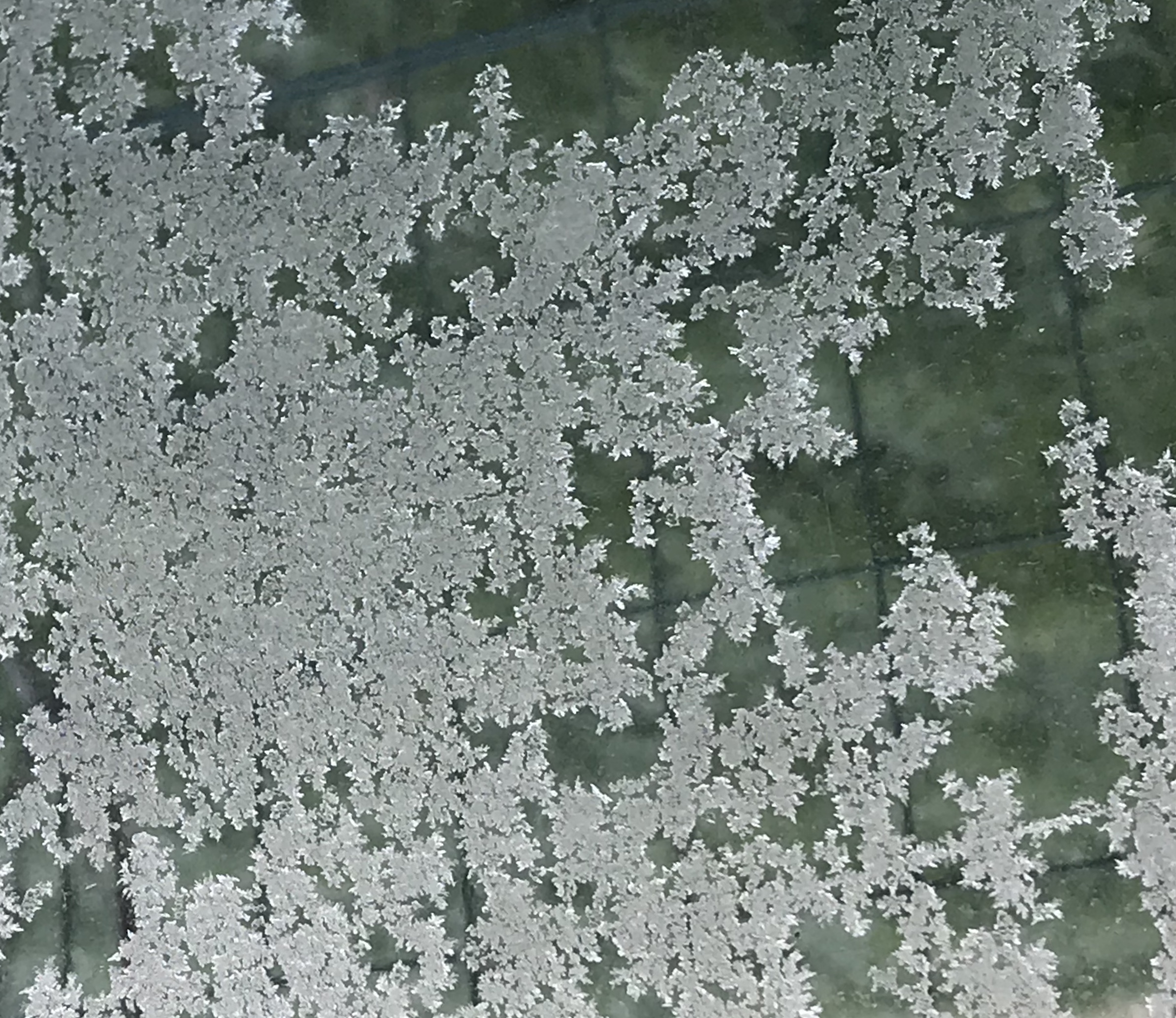 The ice that painter