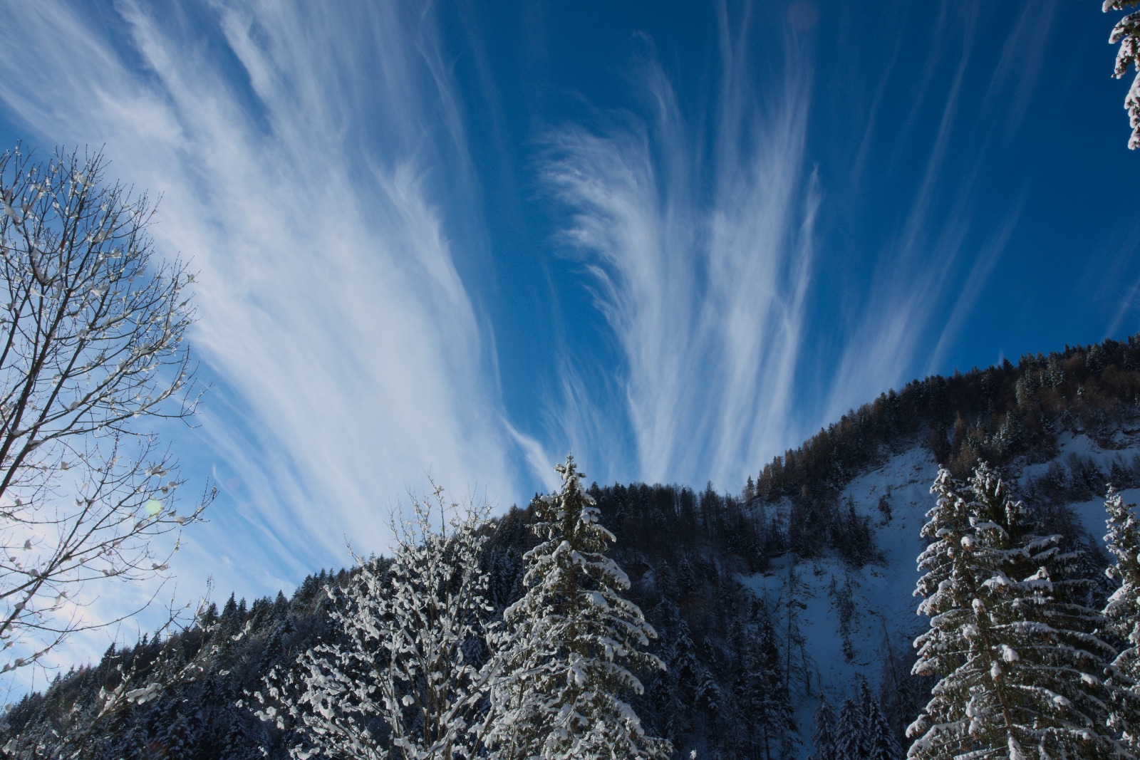 Pennellate nel cielo