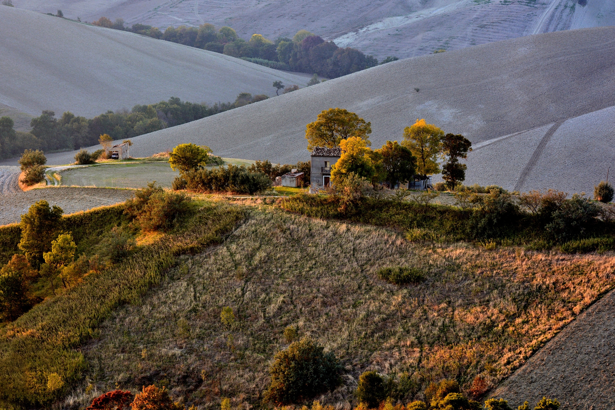 Last Rays of a Tepid Autumn