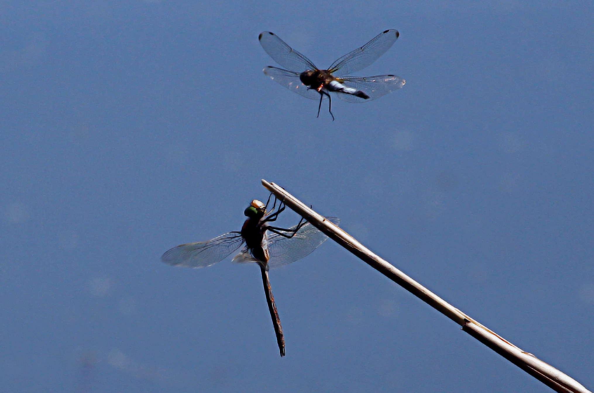 who first arrives ....