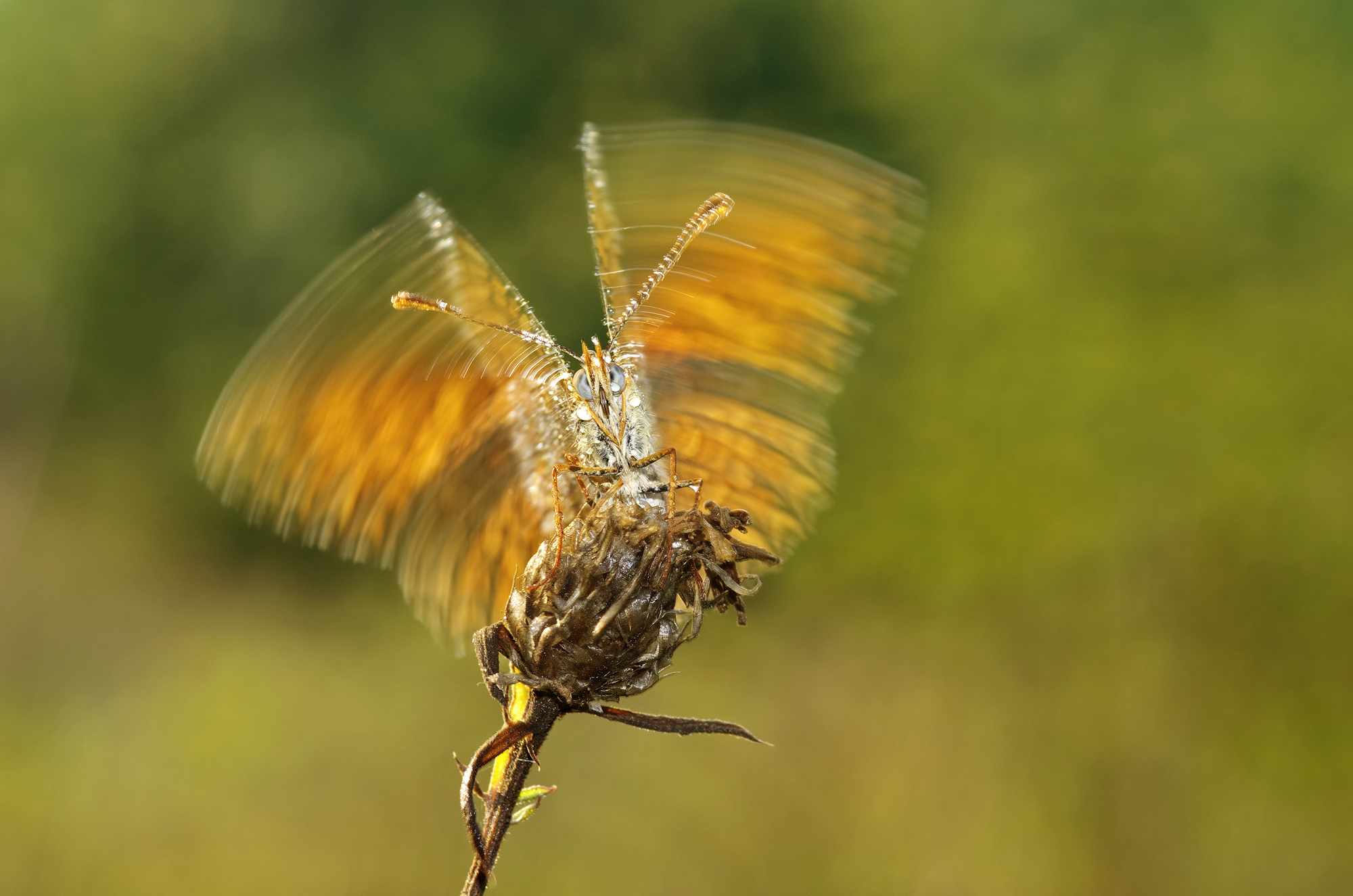 Scaldo i motori e poi prendo il volo