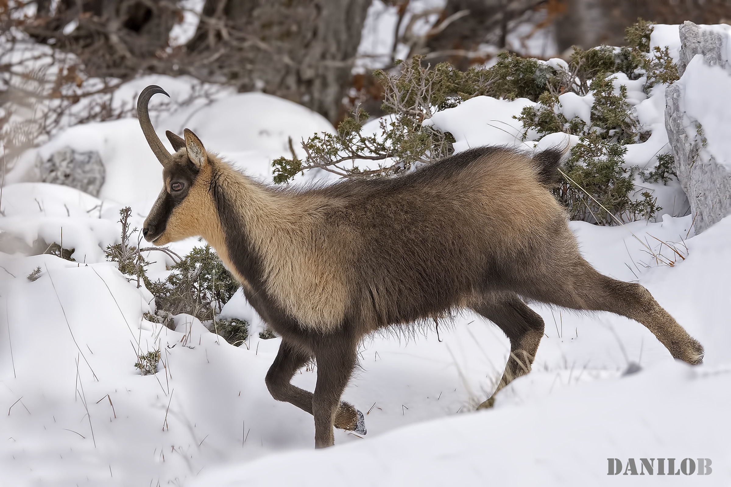 ...adesso che 4 scatti li avete fatti me ne vado...