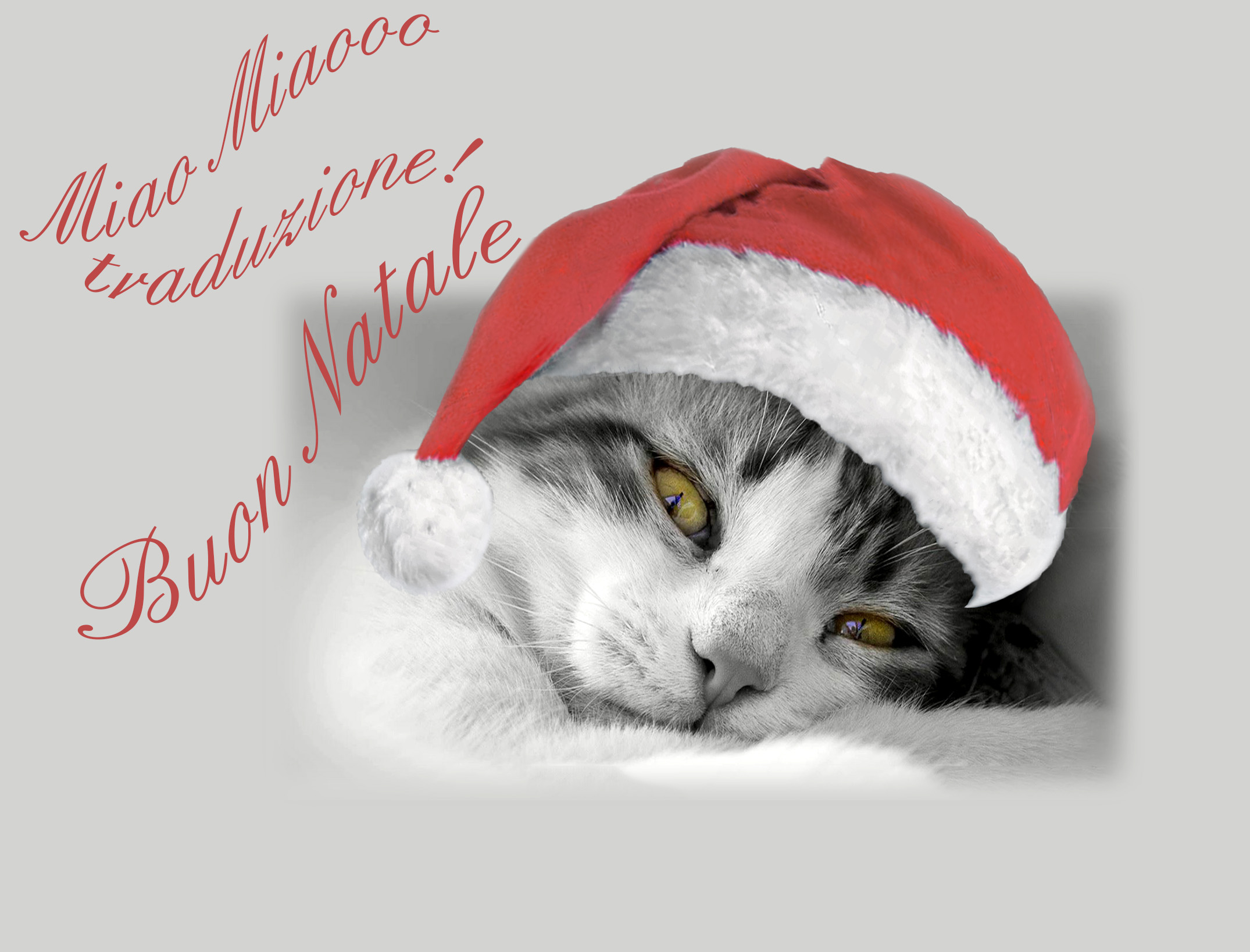 So many good wishes for happy holidays to all