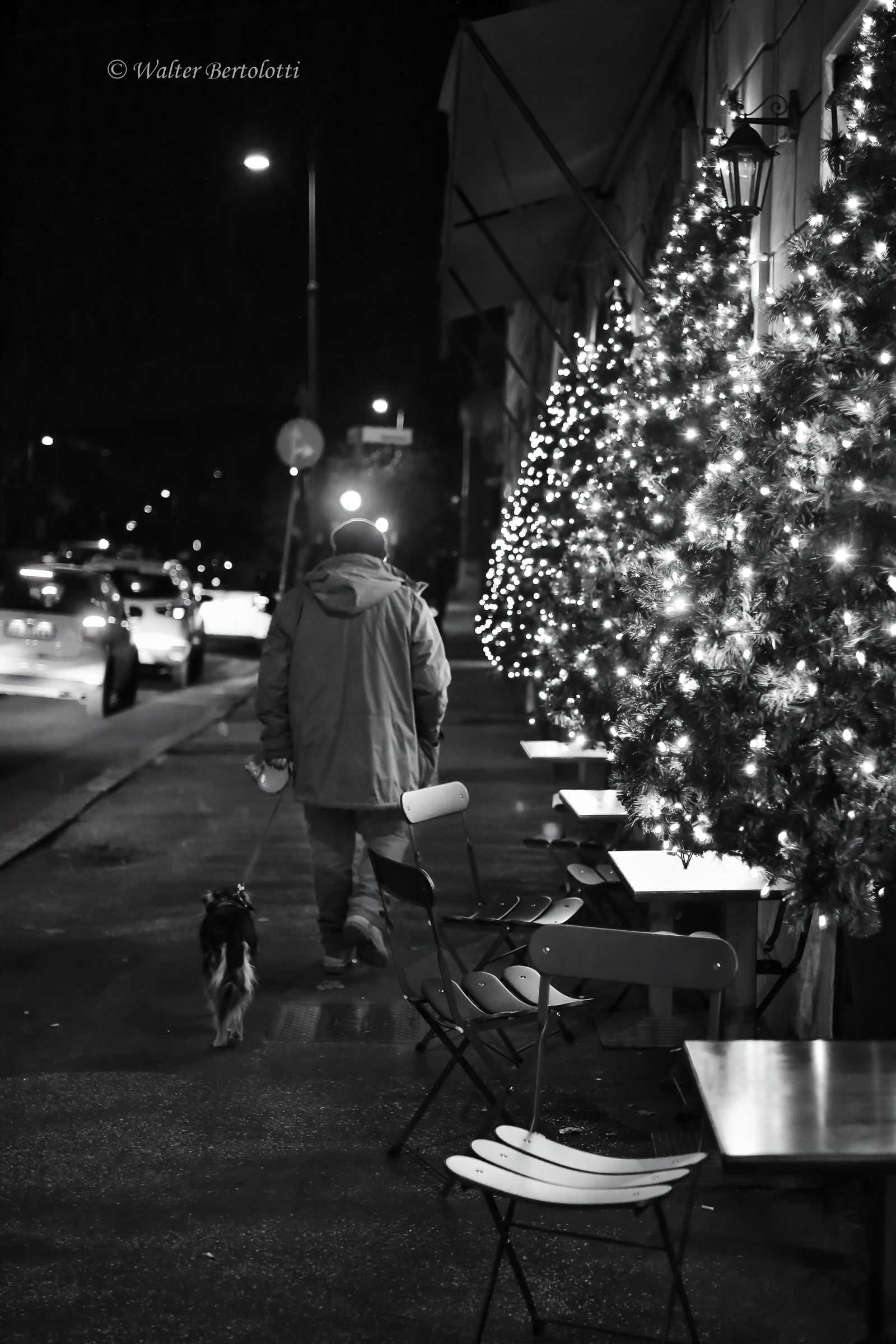 vieni, andiamo a casa