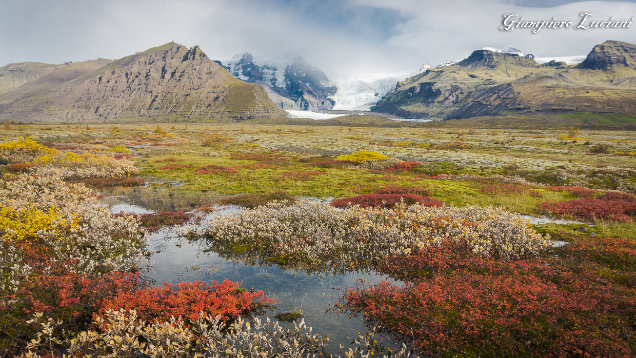 Icelandic tundra