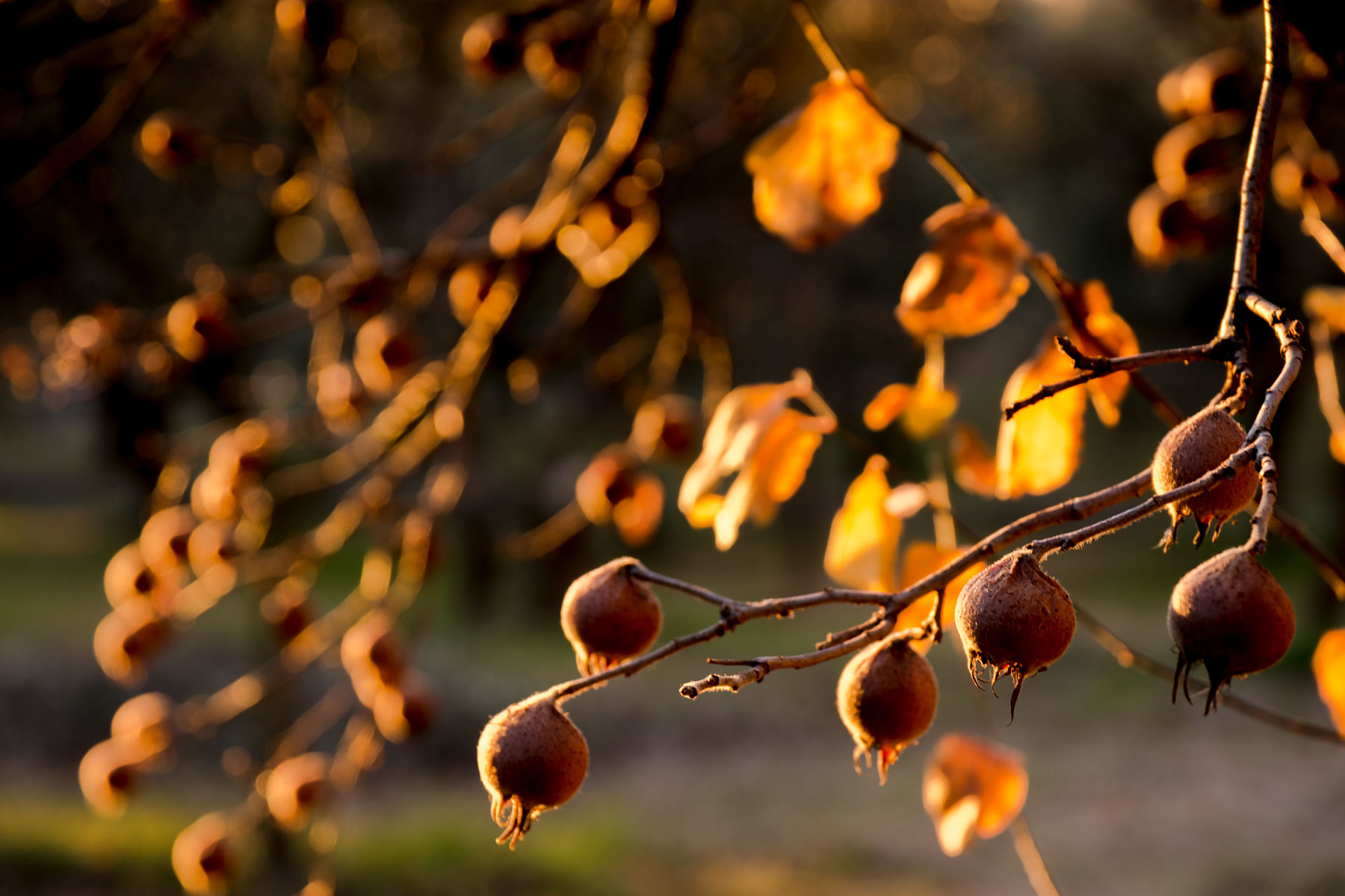 Un mattino in inverno