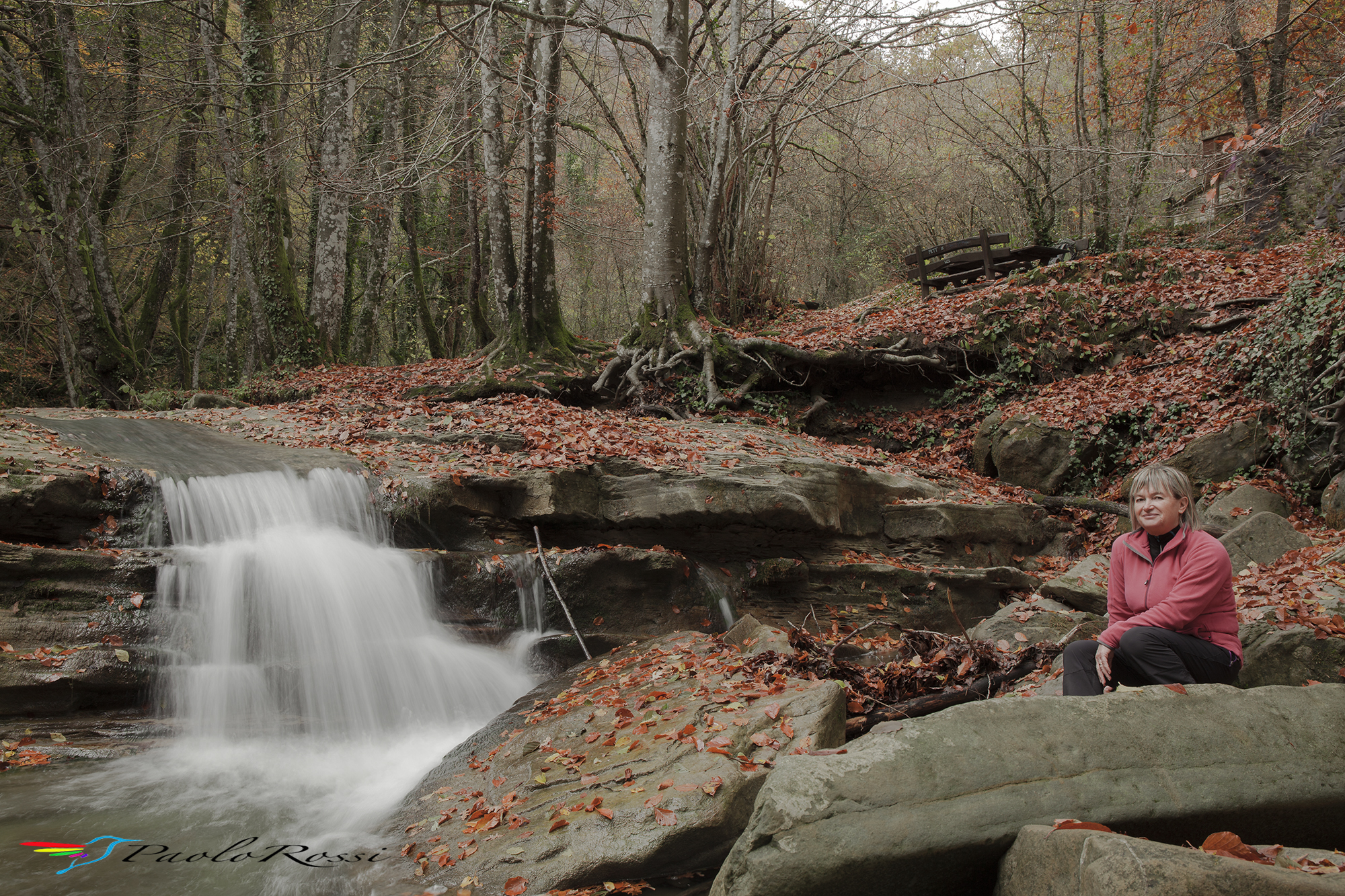 Acquacheta ... Casentinesi forests