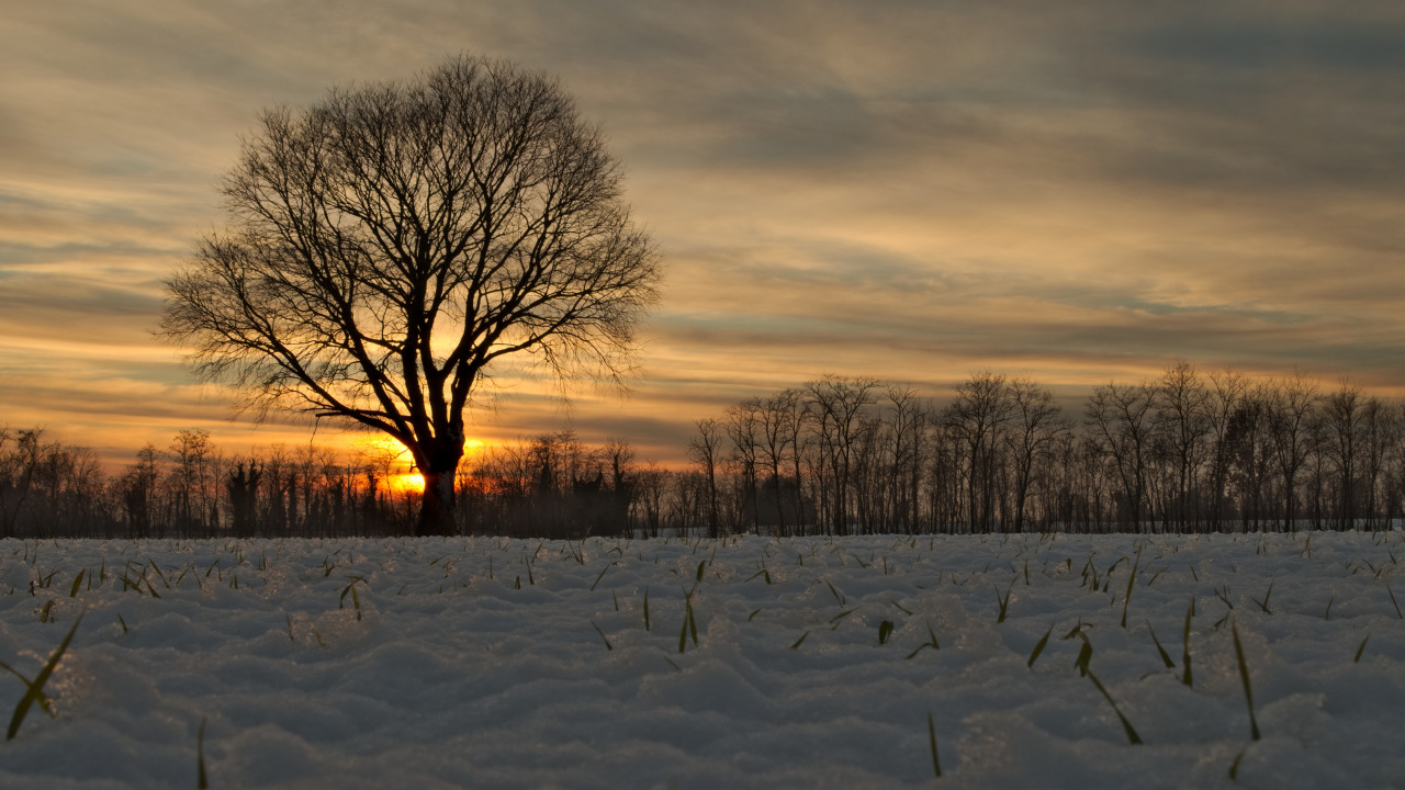 Sunset after a snowfall on the Friuli plains
