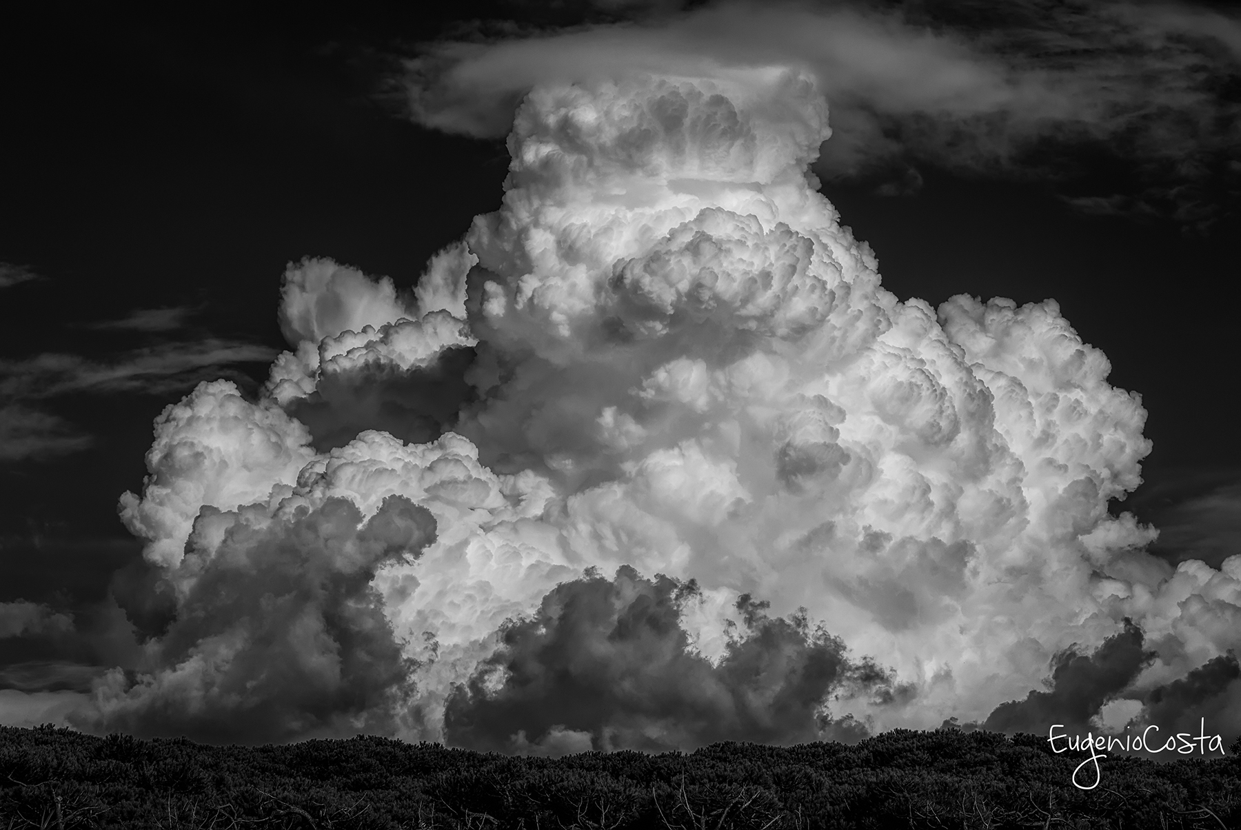 Almost An Atomic Explosion Black & White