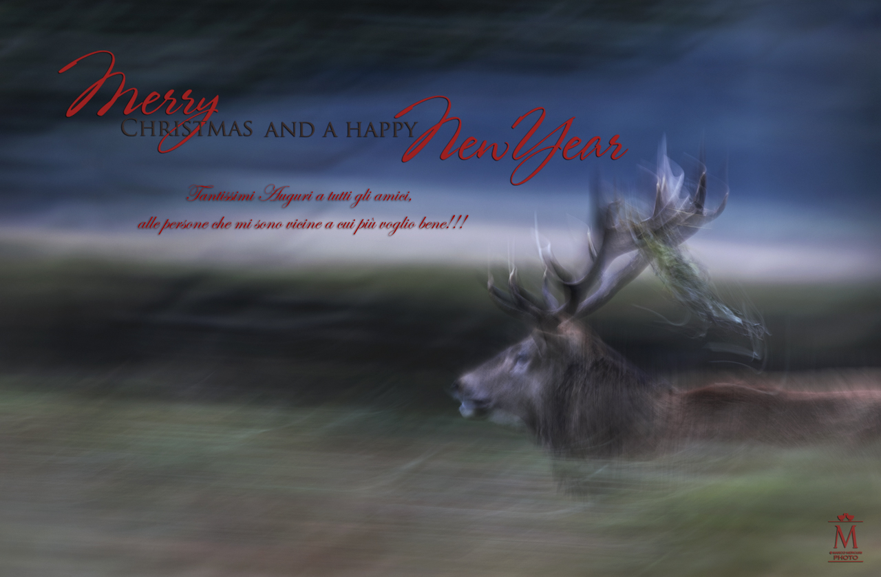 Merry Christmas and a Heppy New Year !!!