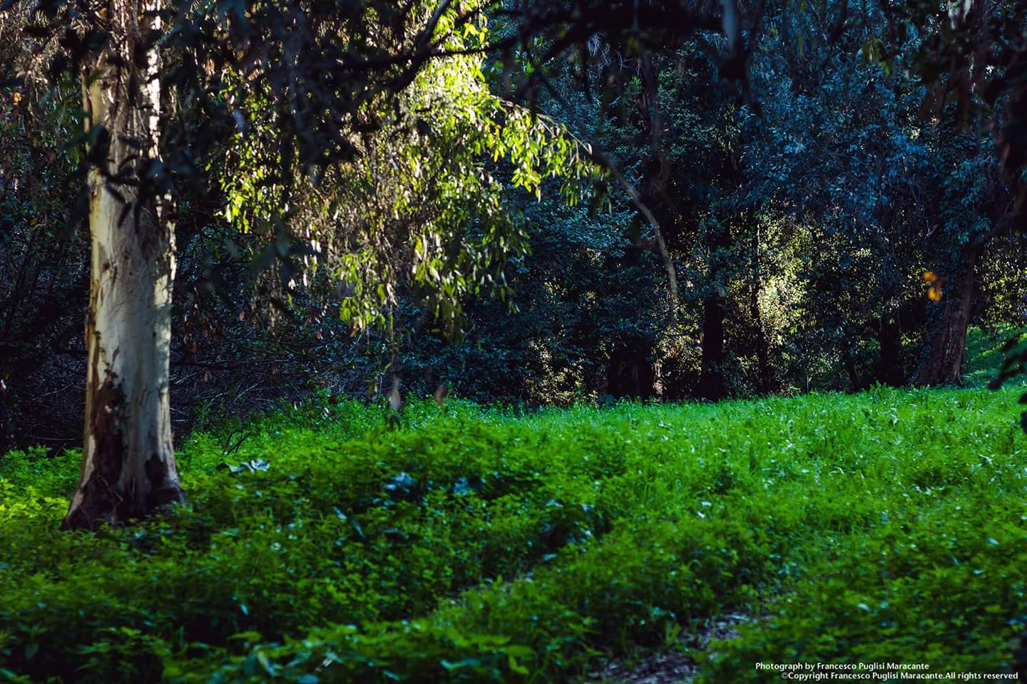 Luoghi incantati e dove trovarli