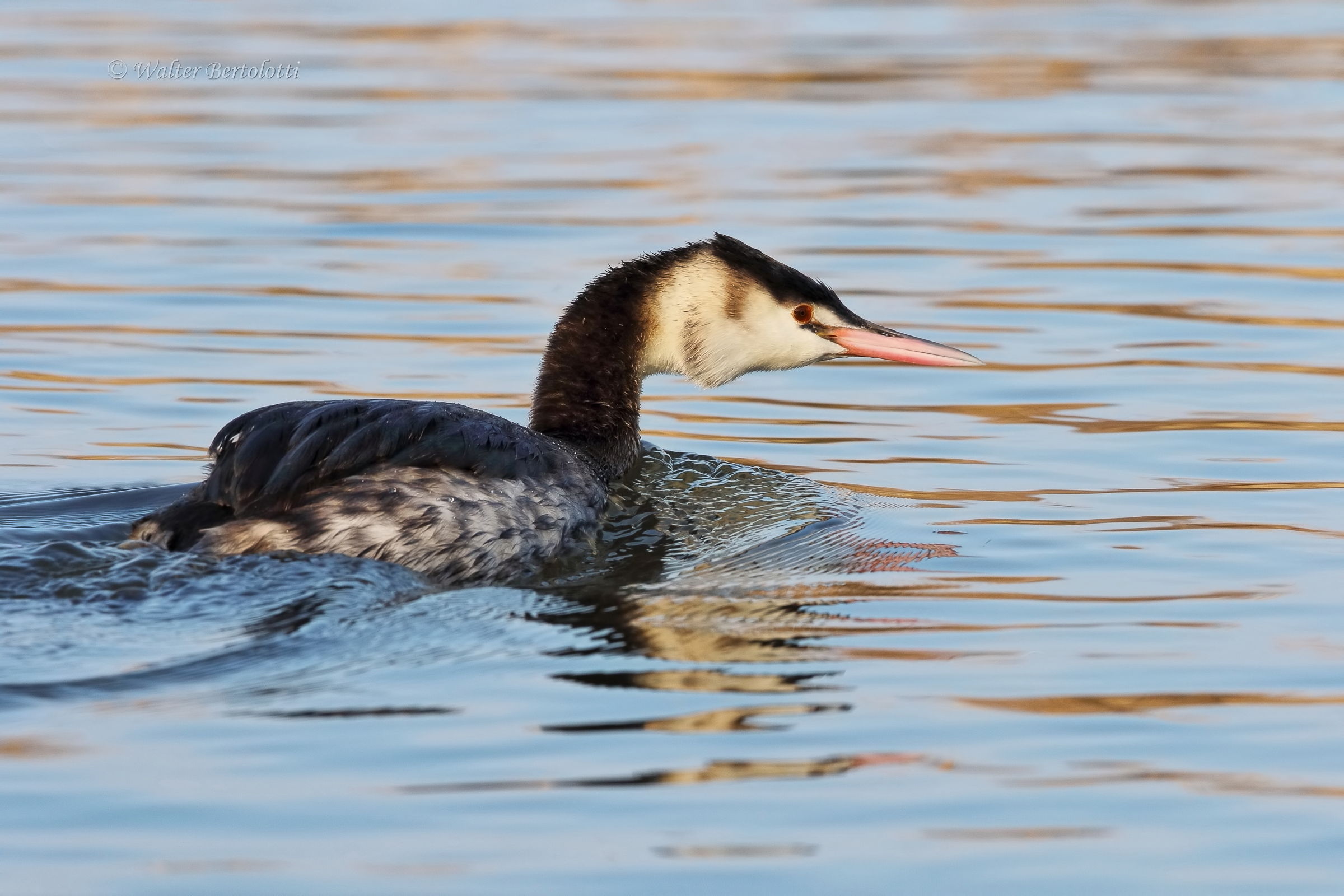 I put a little distance