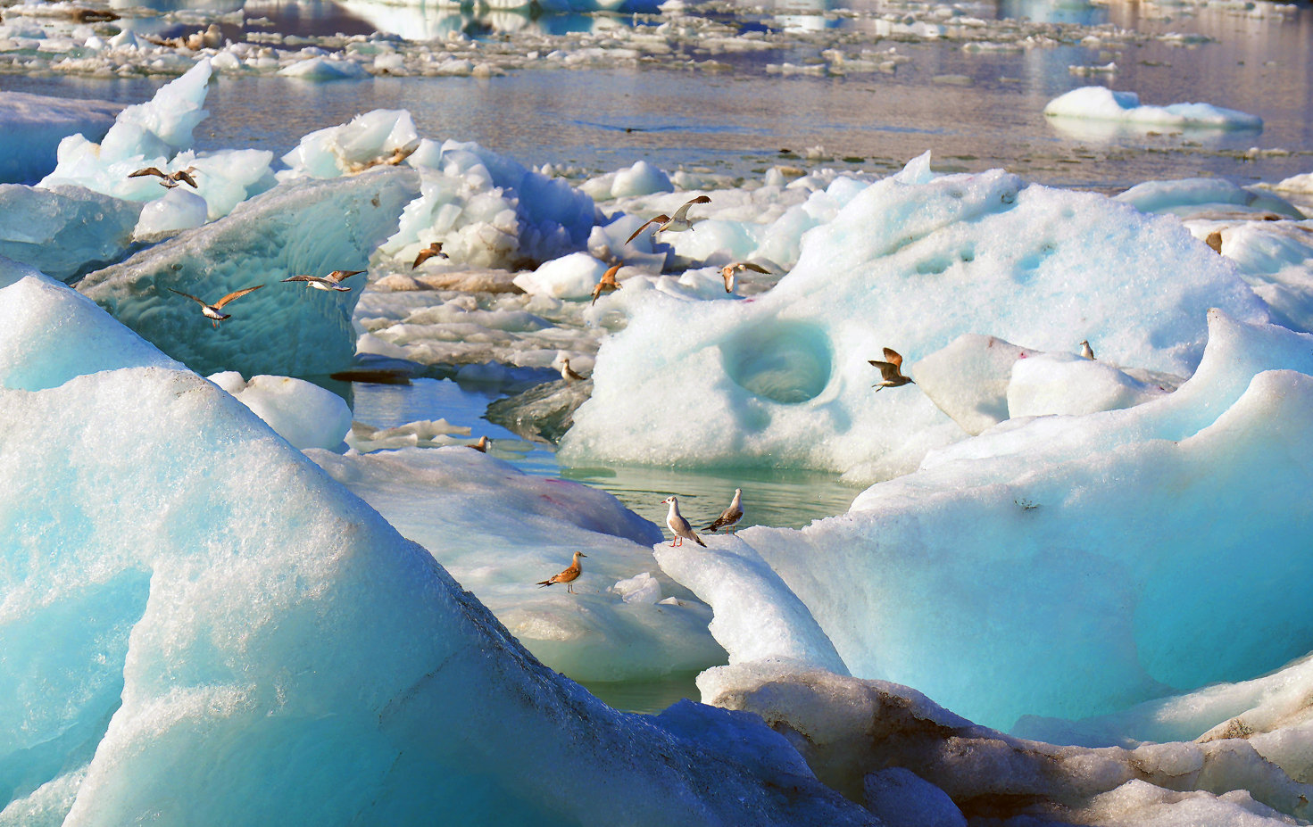 Laguna glaciale di Jokursarlon ( Islanda )