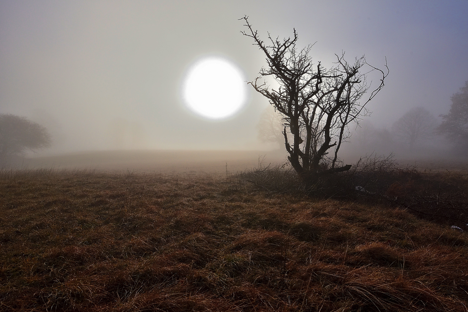 The mists of the Trieste Karst