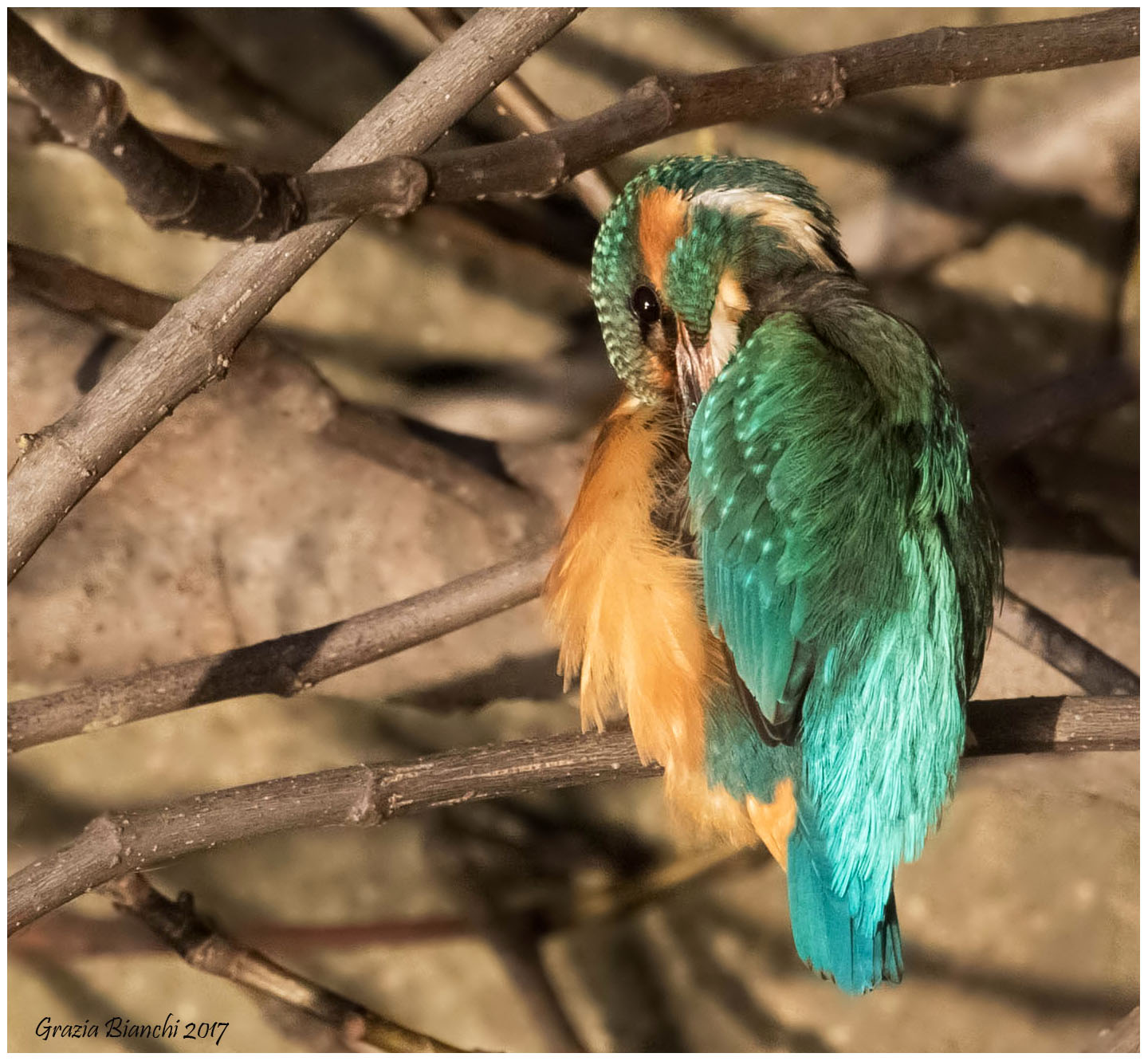 Along the Mugnone - Florence