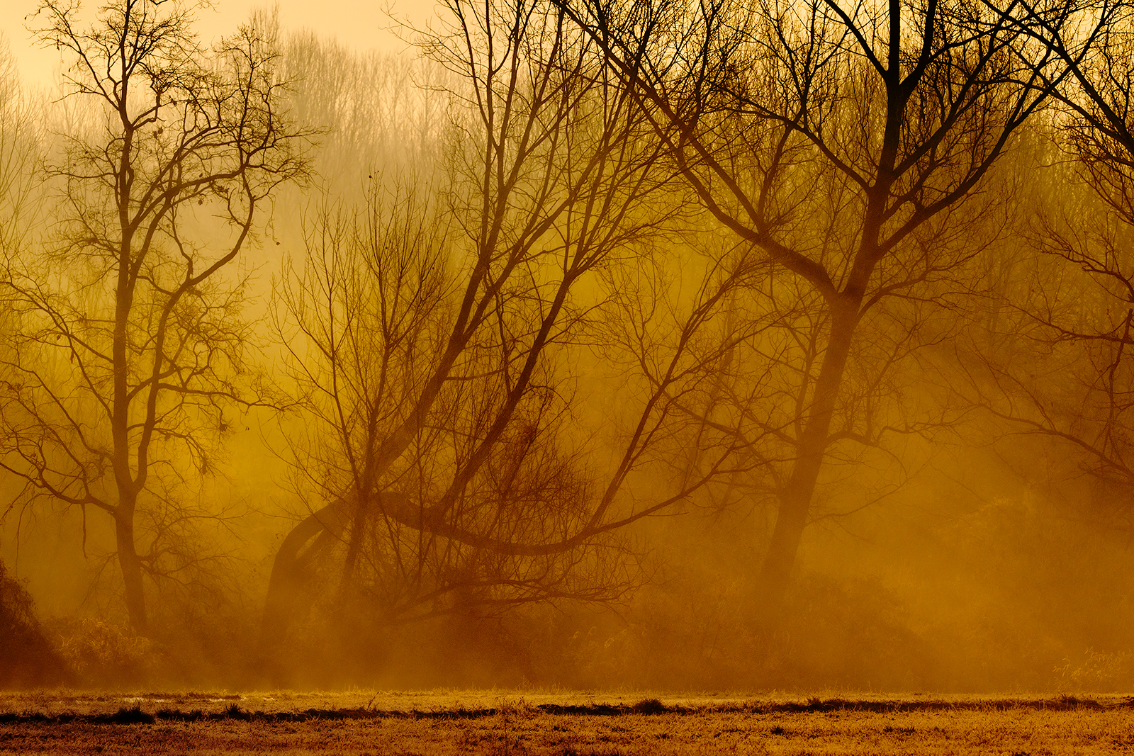 Il mattino ha l'oro in bocca