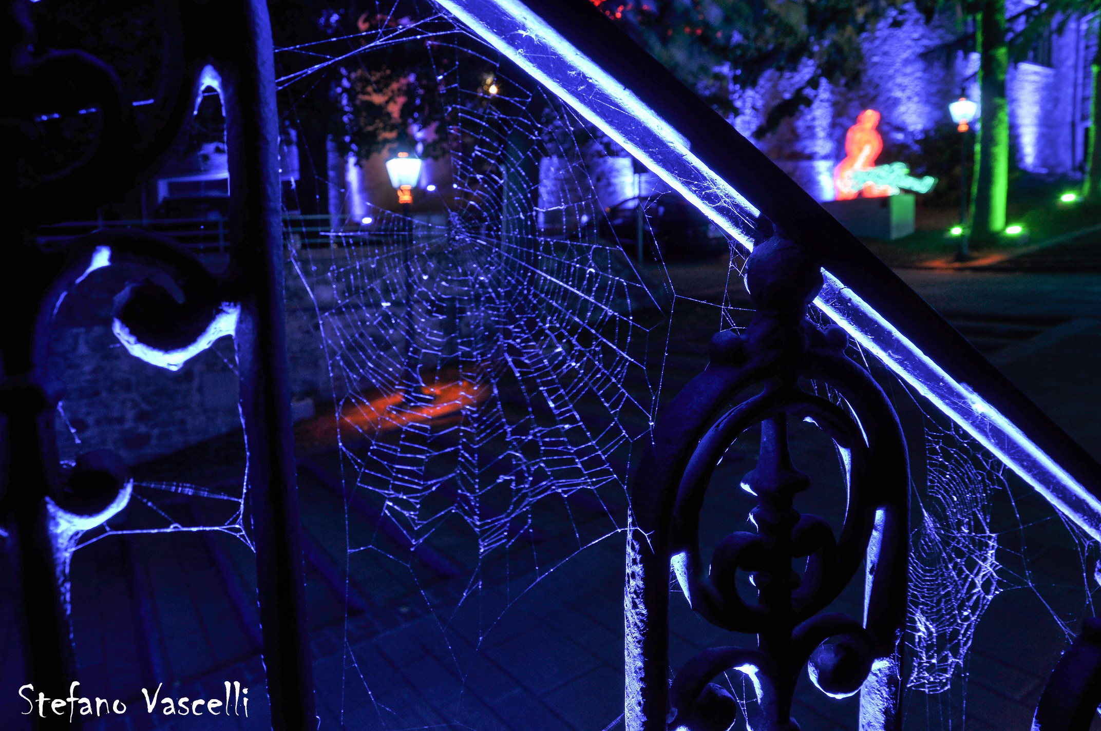 THE lights. A different vision