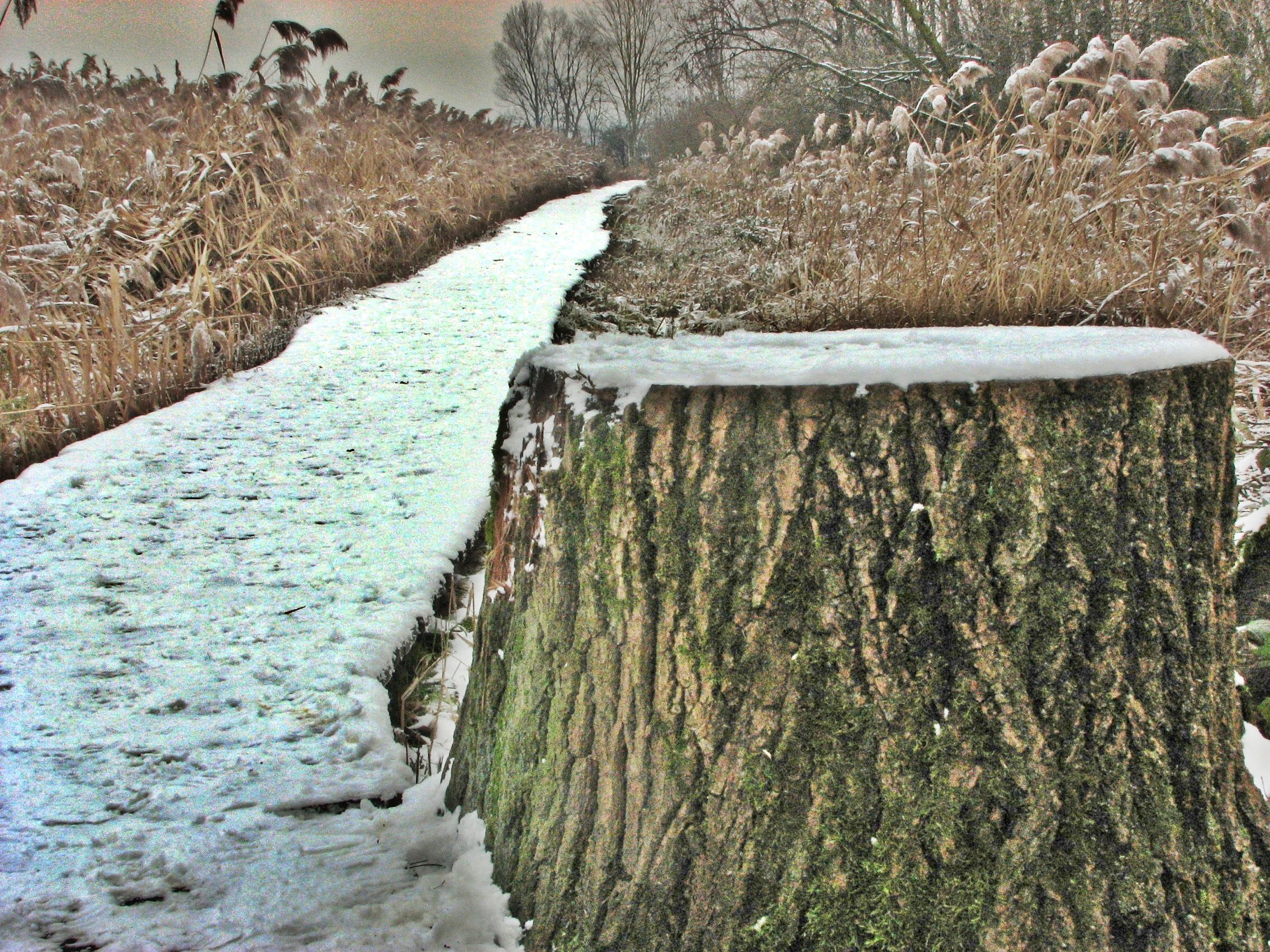 1801 - that winter swallows me