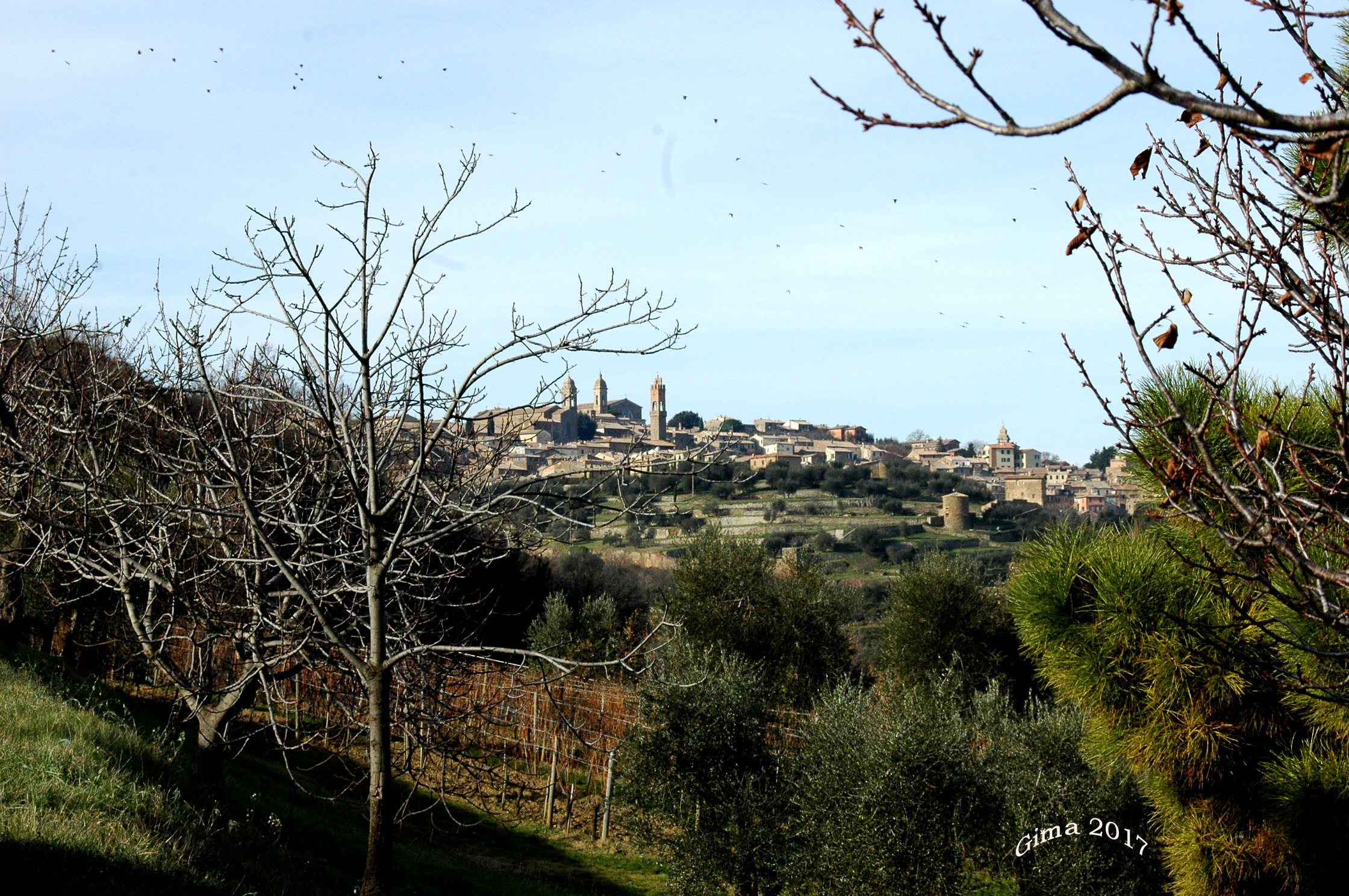 Montalcino