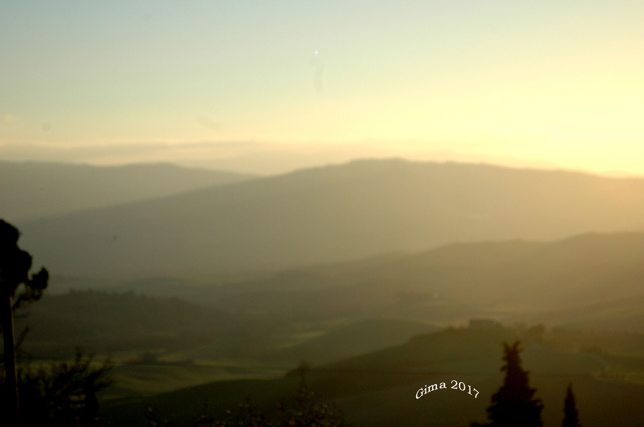 per me splendida anche se sfocata !