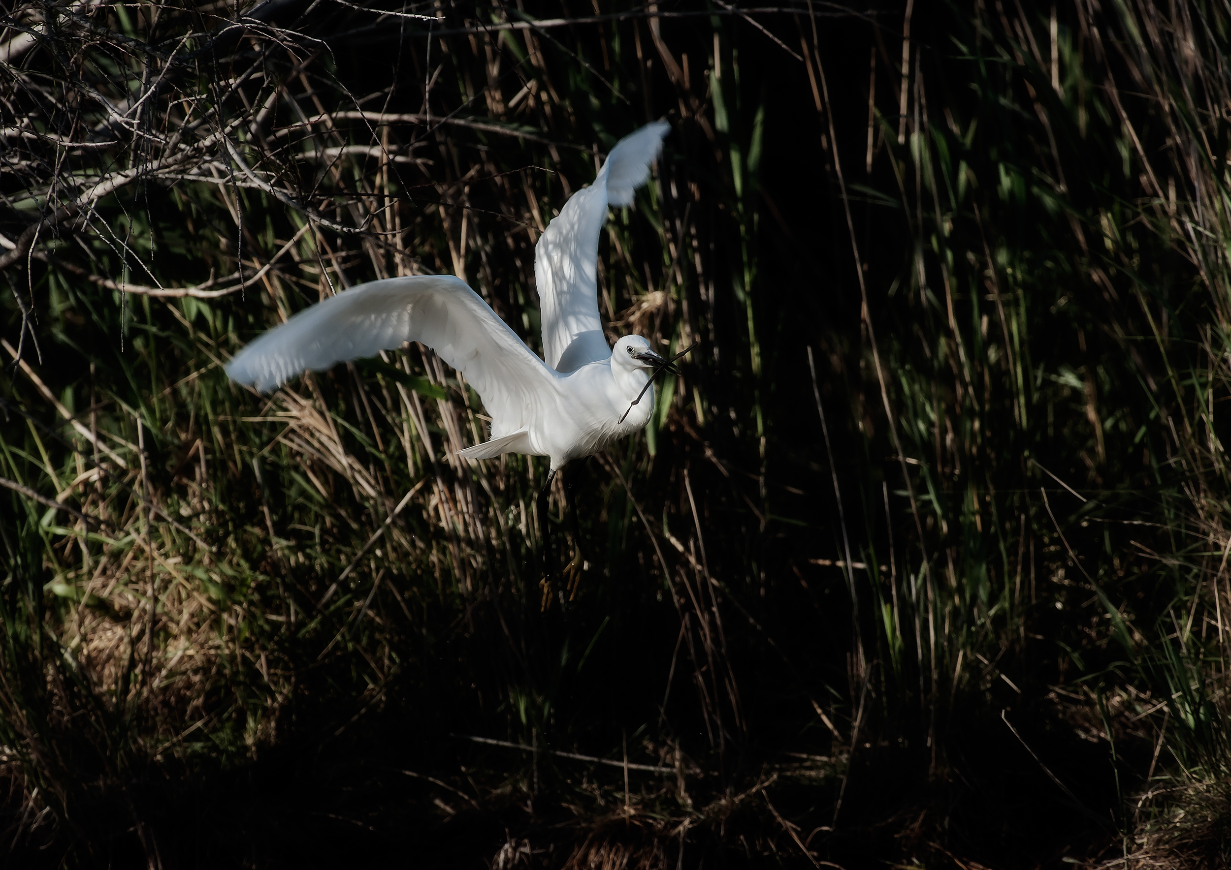 La vita del canneto_3