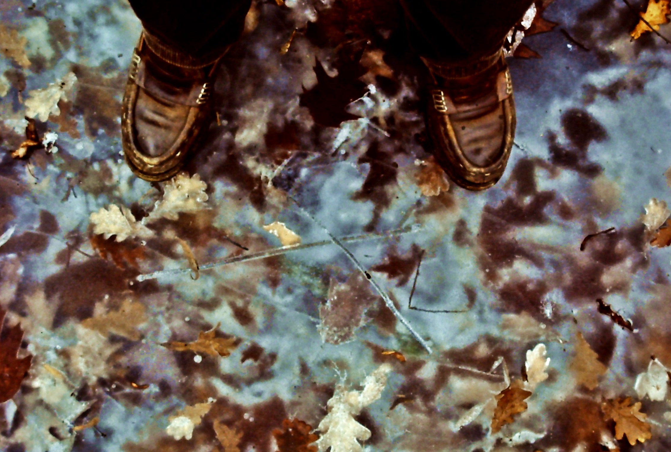 2677 - le buone scarpe