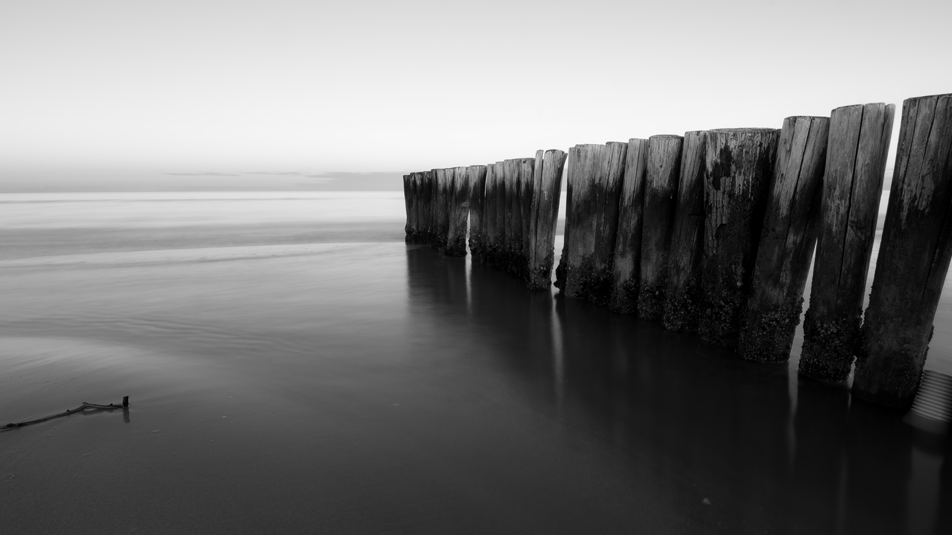 The sound of silence