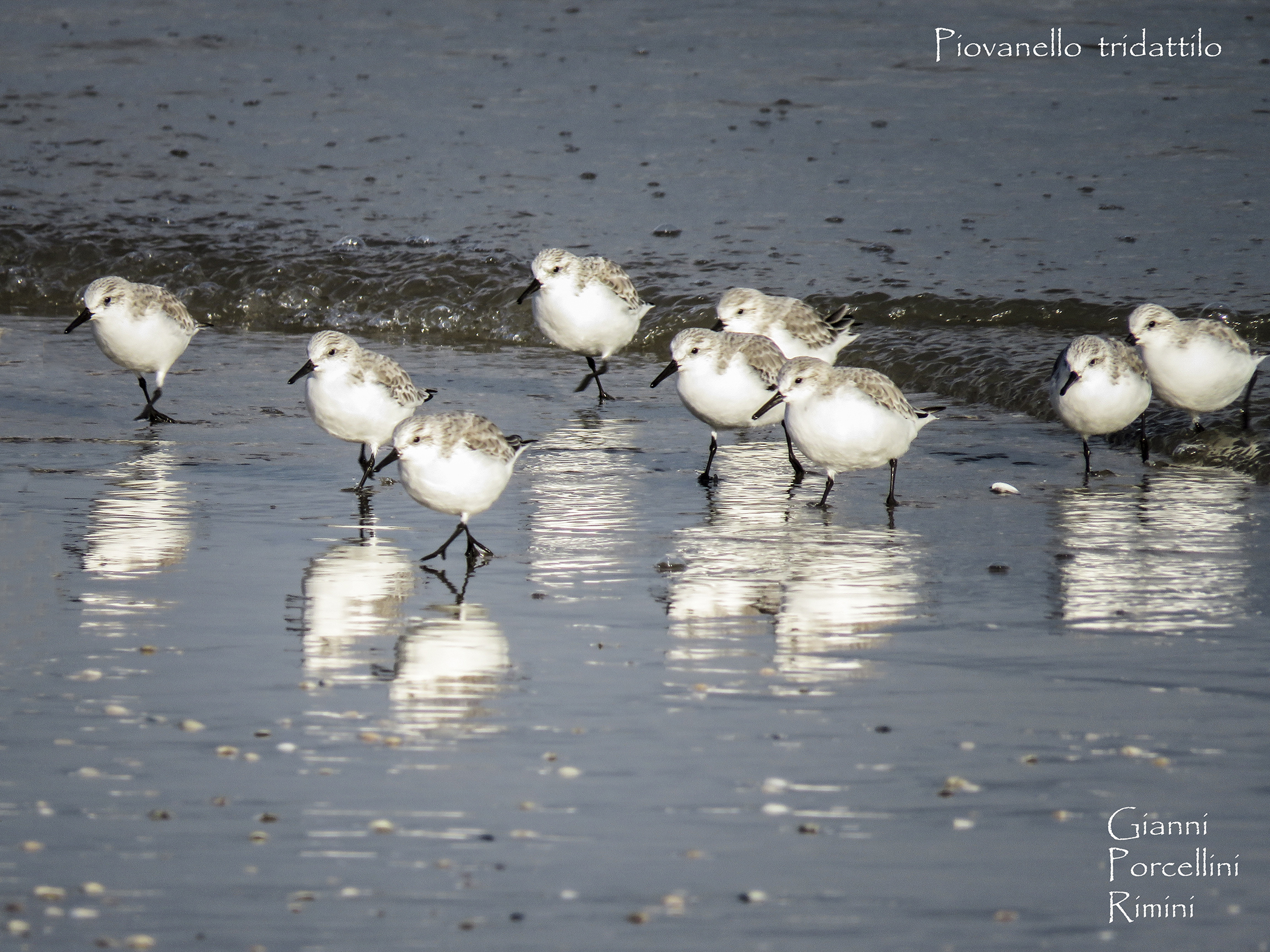 The same drizzles come out of the water satisfied.