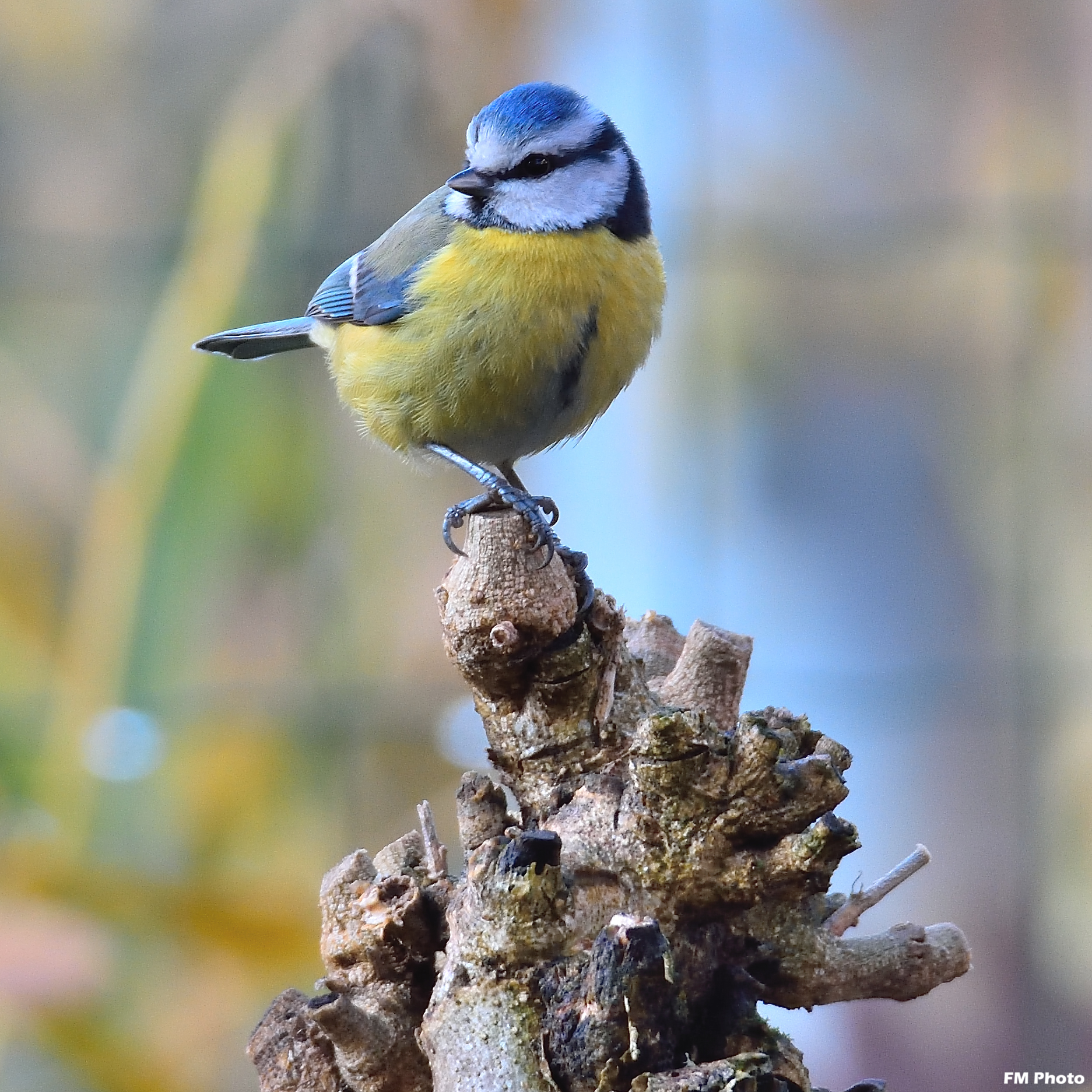 Ma come siamo seri ...