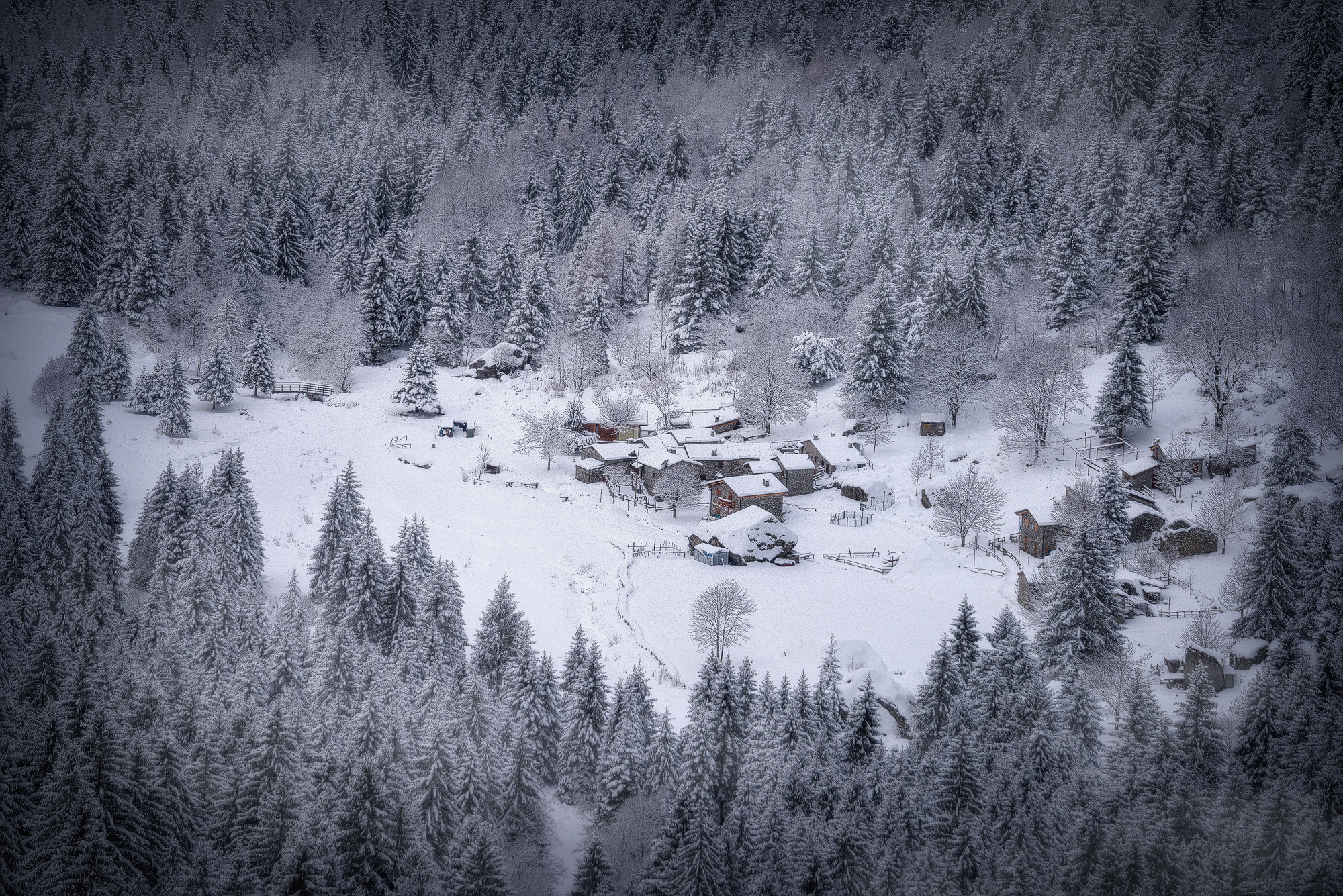 Magical white atmposphere. (Val Masino, 2017)