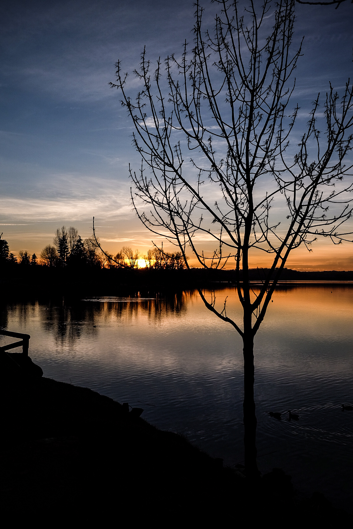 sunset on the lake of Pusiano