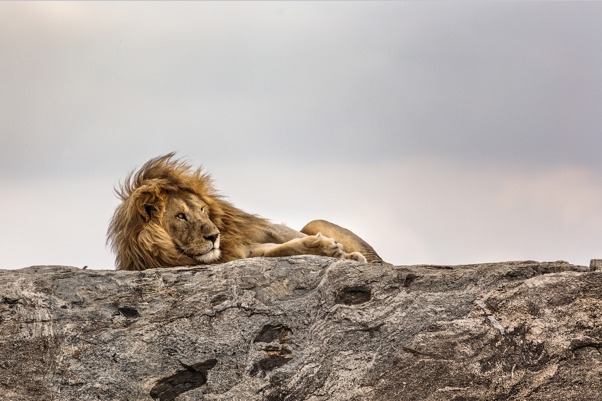 Serengeti National Park