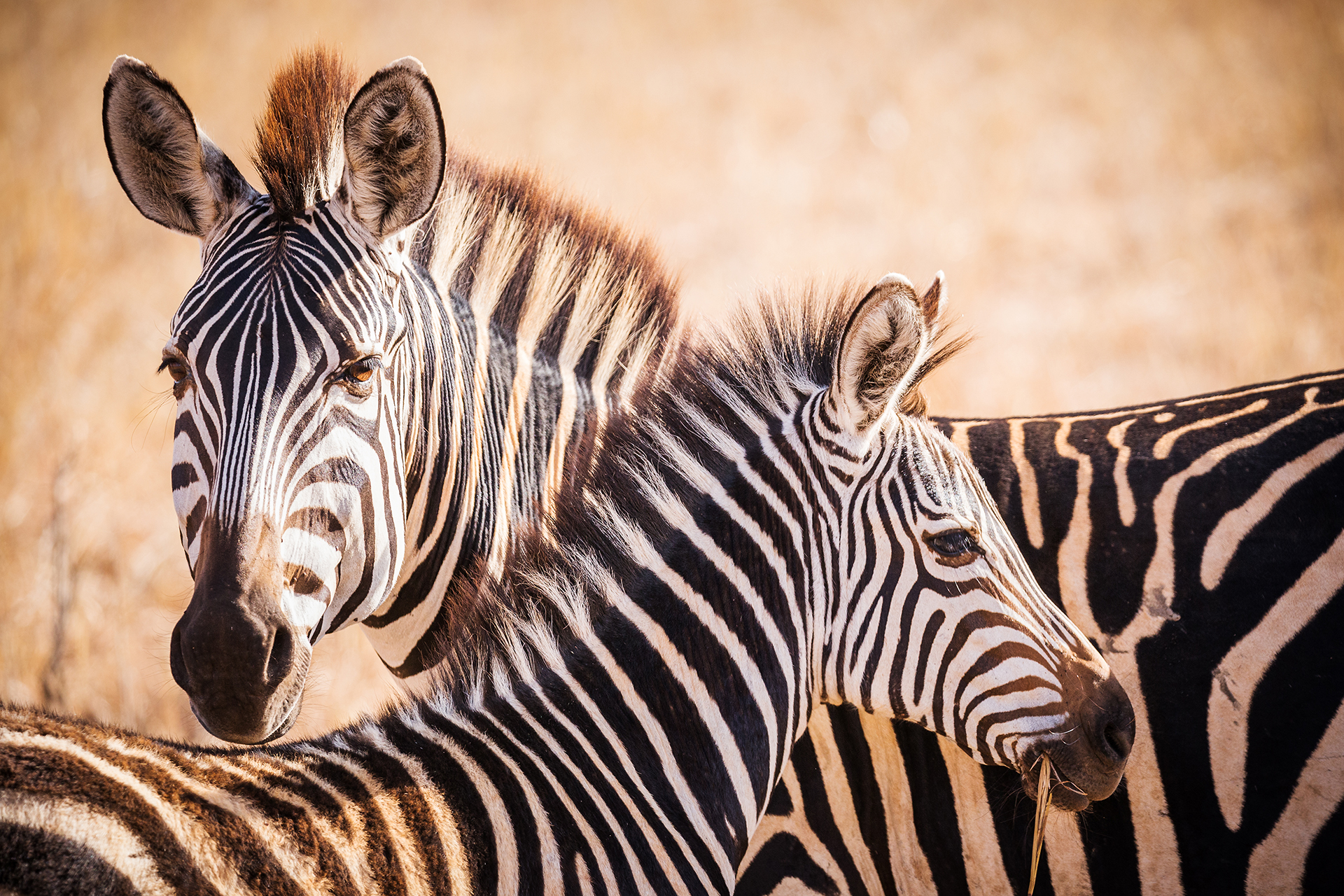 Serengeti National Park