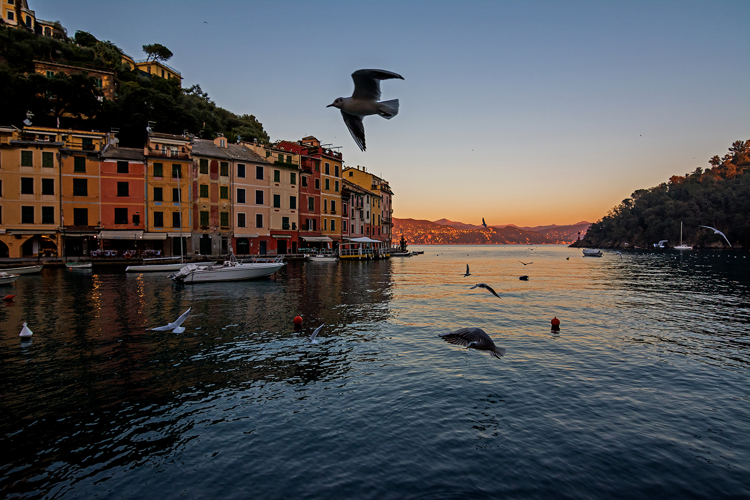 In volo su Portofino