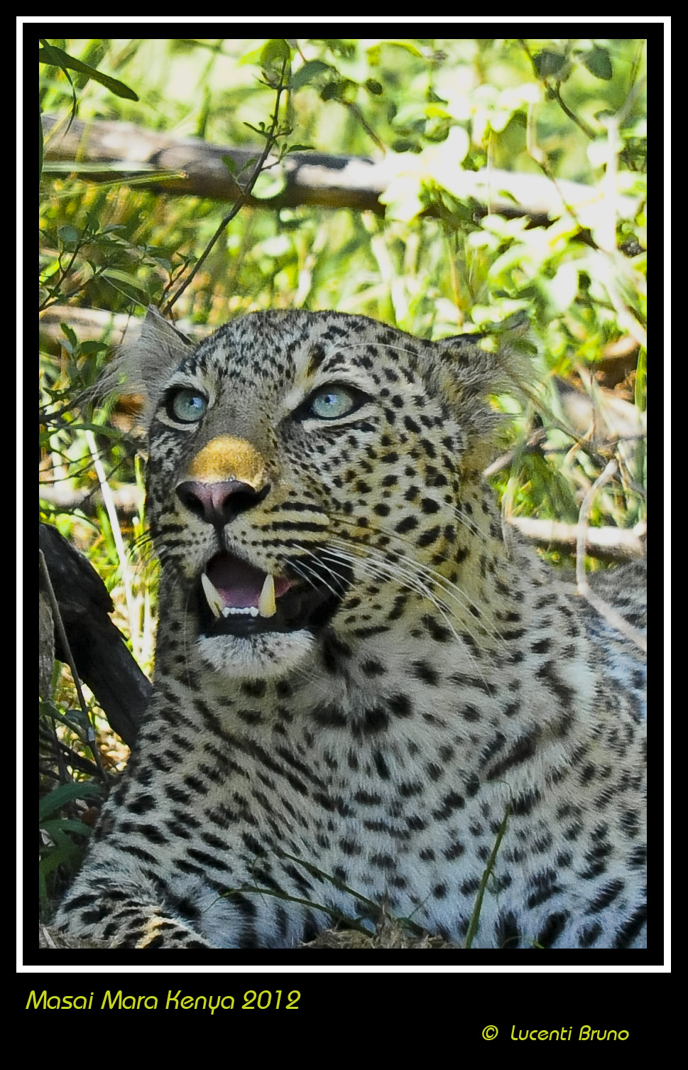 sguardo verso il cielo