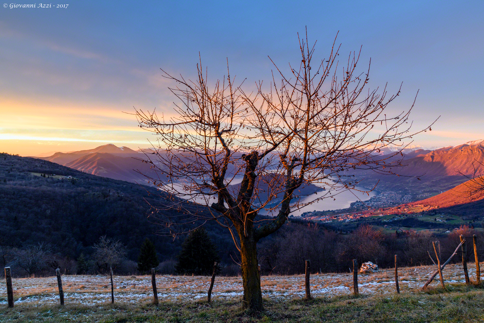 L'albero del tramonto