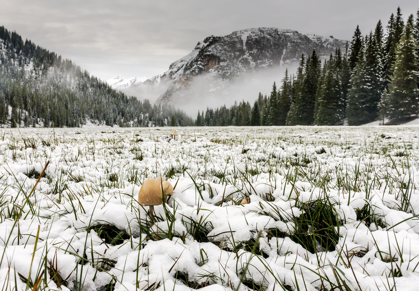 Settembre: la prima neve sulle dolomiti