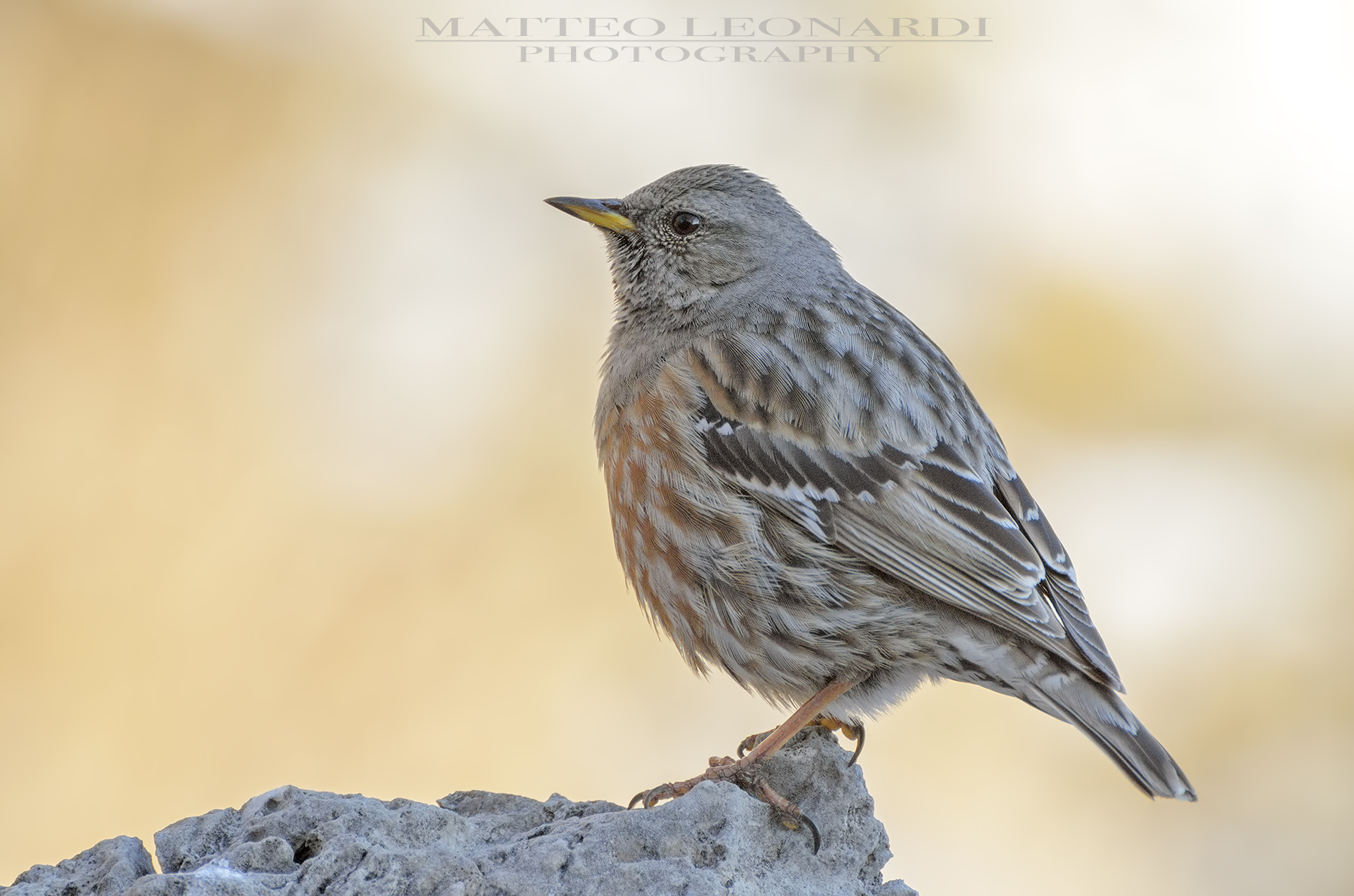 Sordone - Apuan Alps