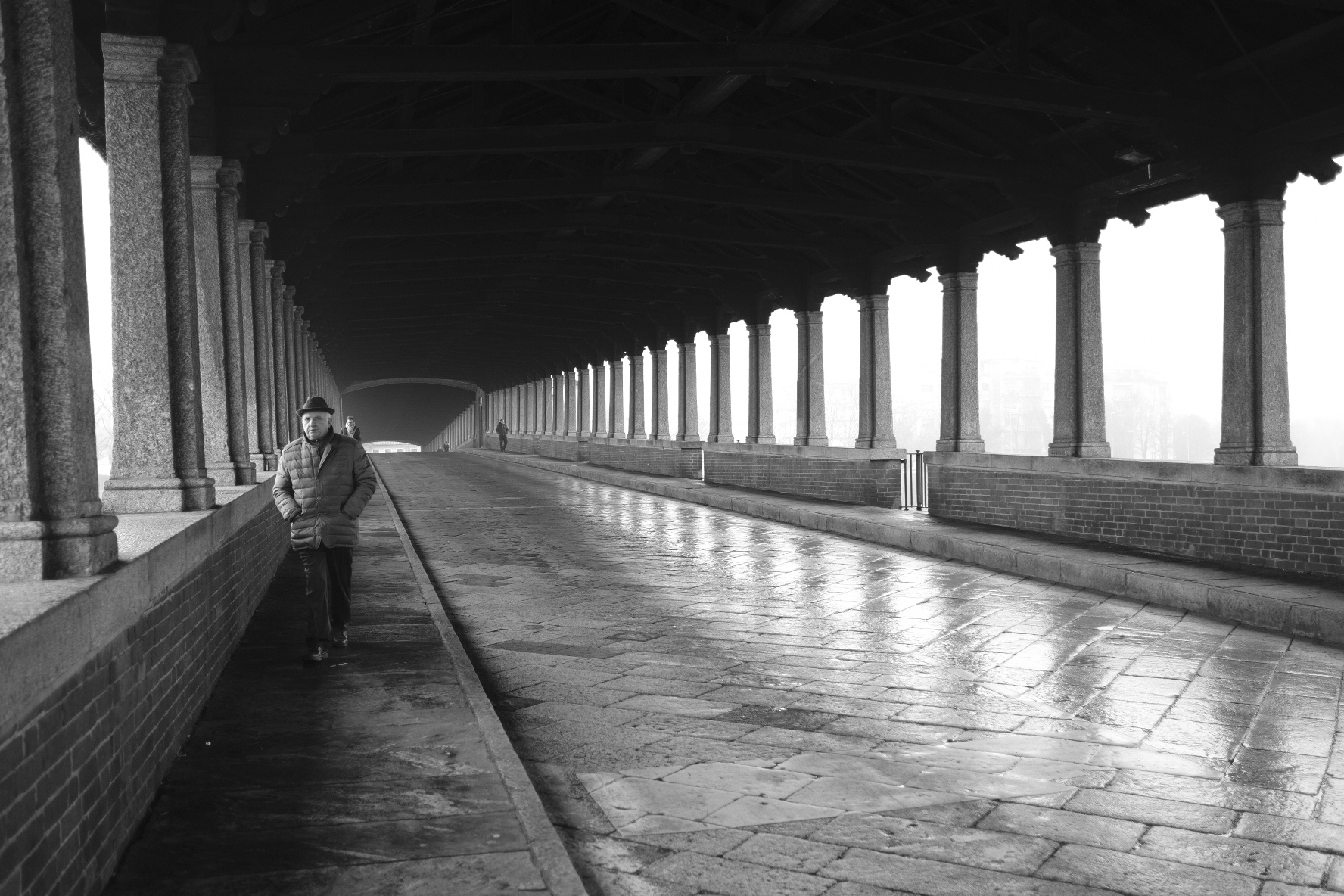 Pavia, the covered bridge