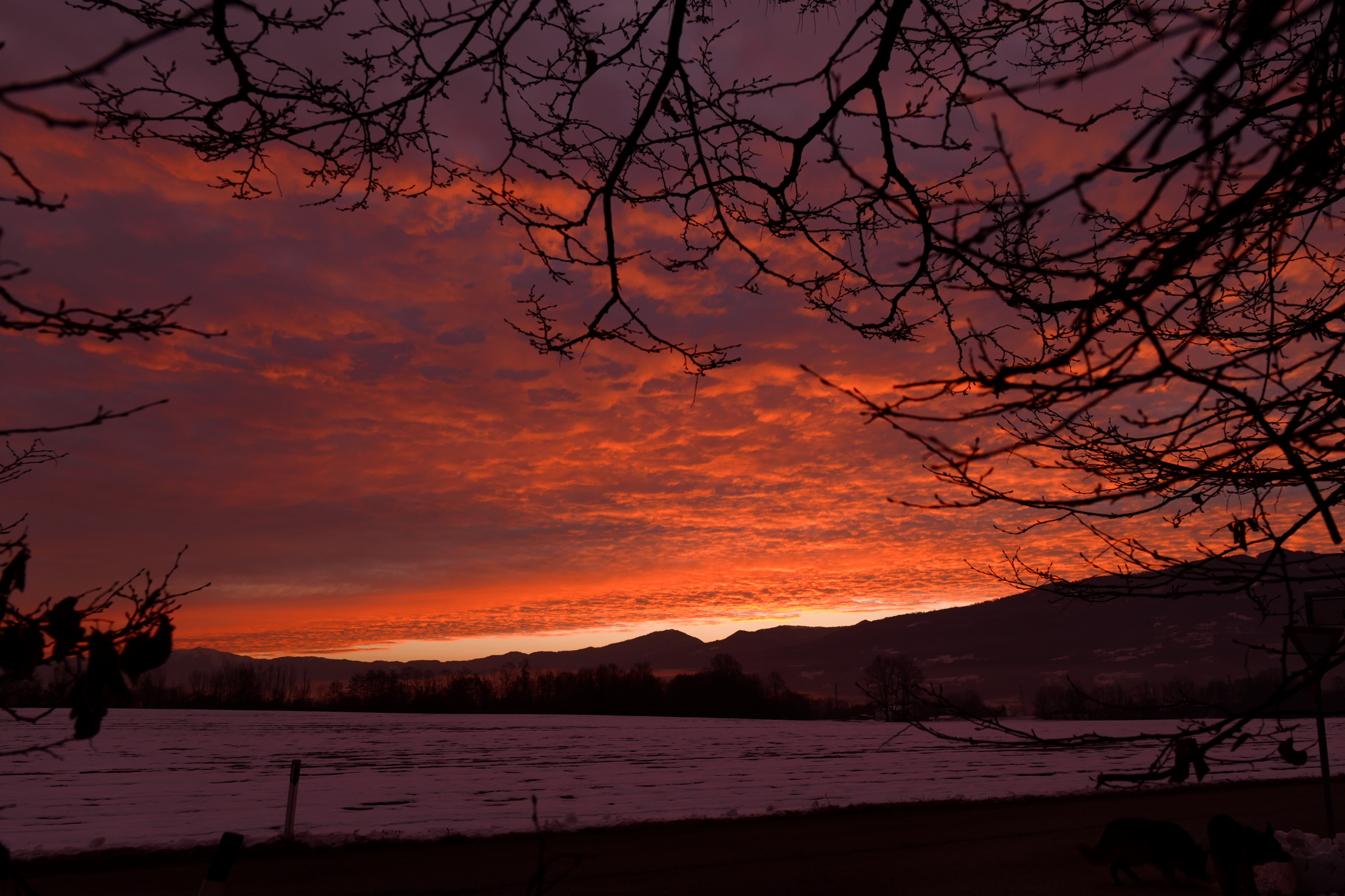 e il giorno si accende
