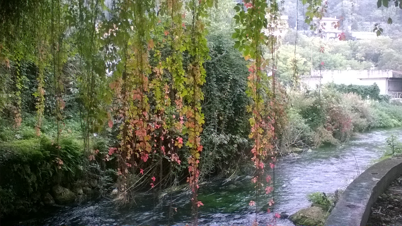 Strolling along the river