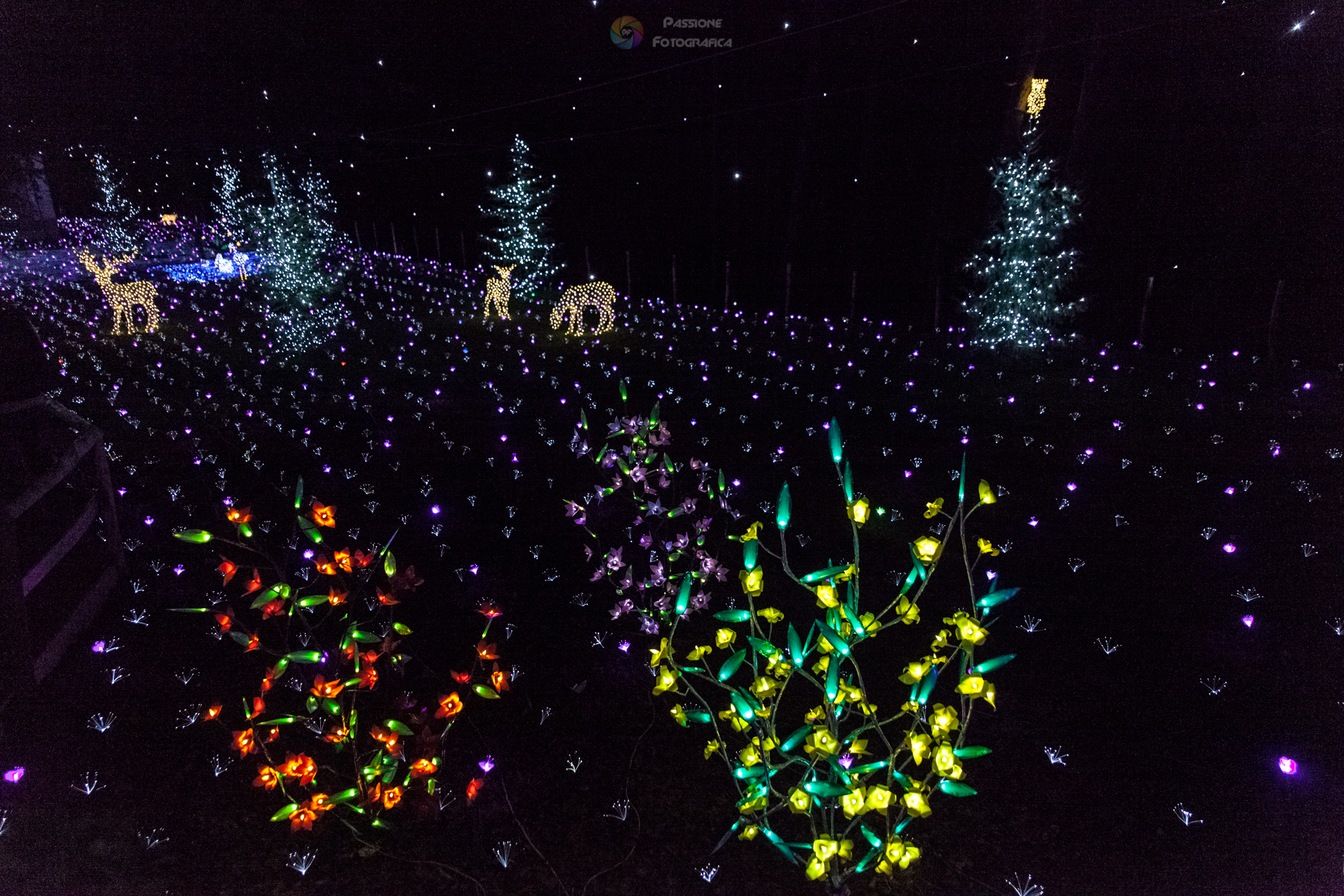 Lucine a Leggiuno ...