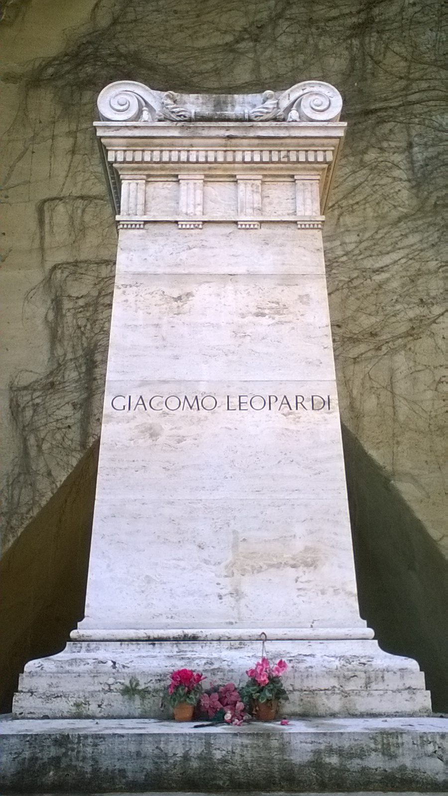 The fabulous young man