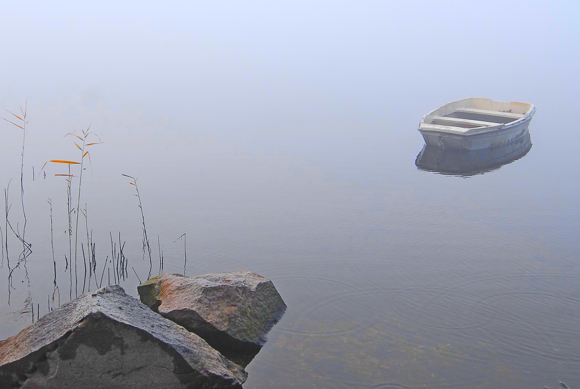 nebbia