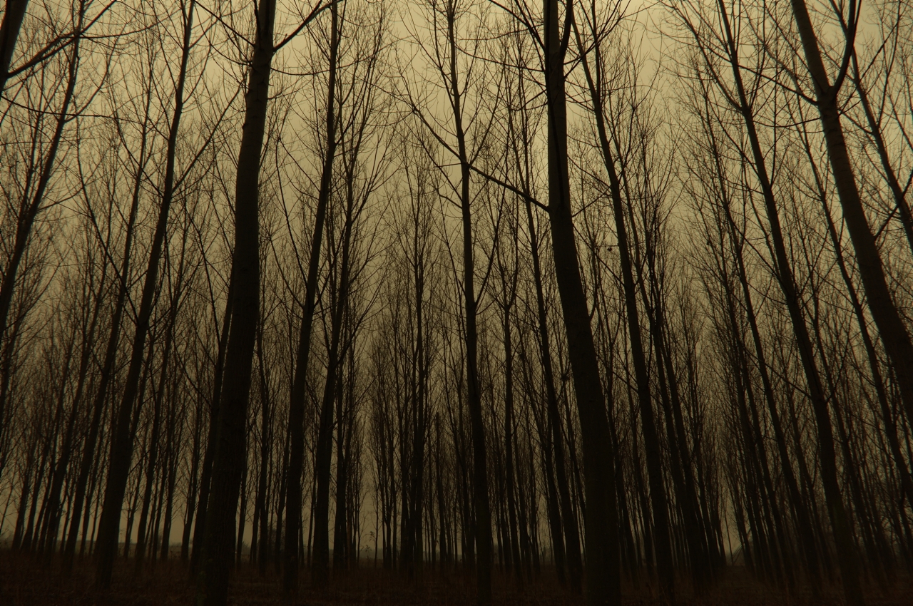 avere paura di camminare